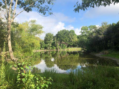 12309 Calibri Ln, Austin, TX 78753