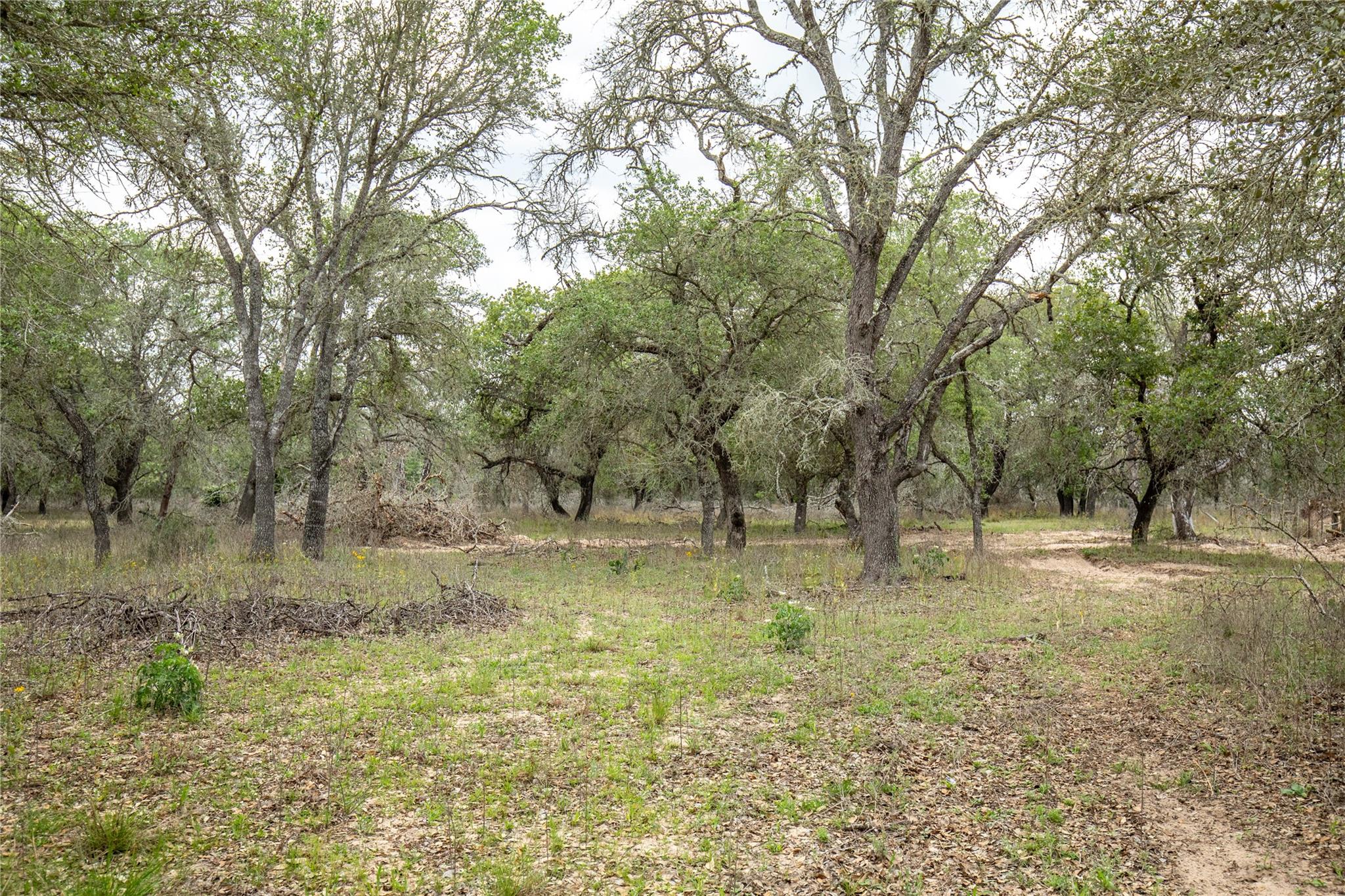 132 Roemer Ln W, Floresville, TX 78114