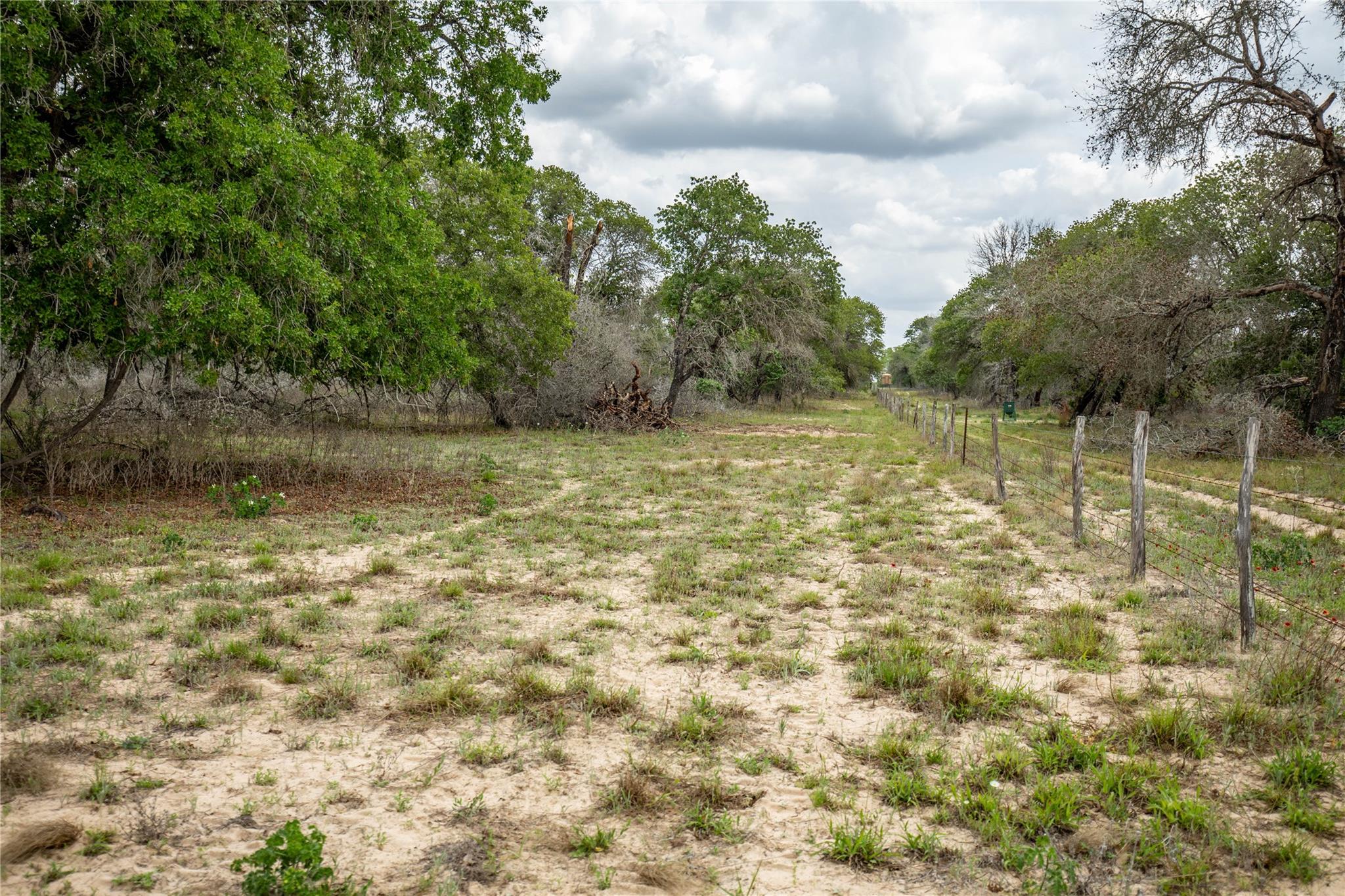 132 Roemer Ln W, Floresville, TX 78114