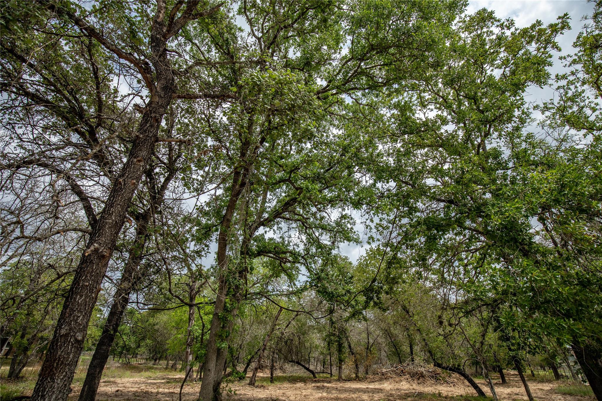 132 Roemer Ln W, Floresville, TX 78114