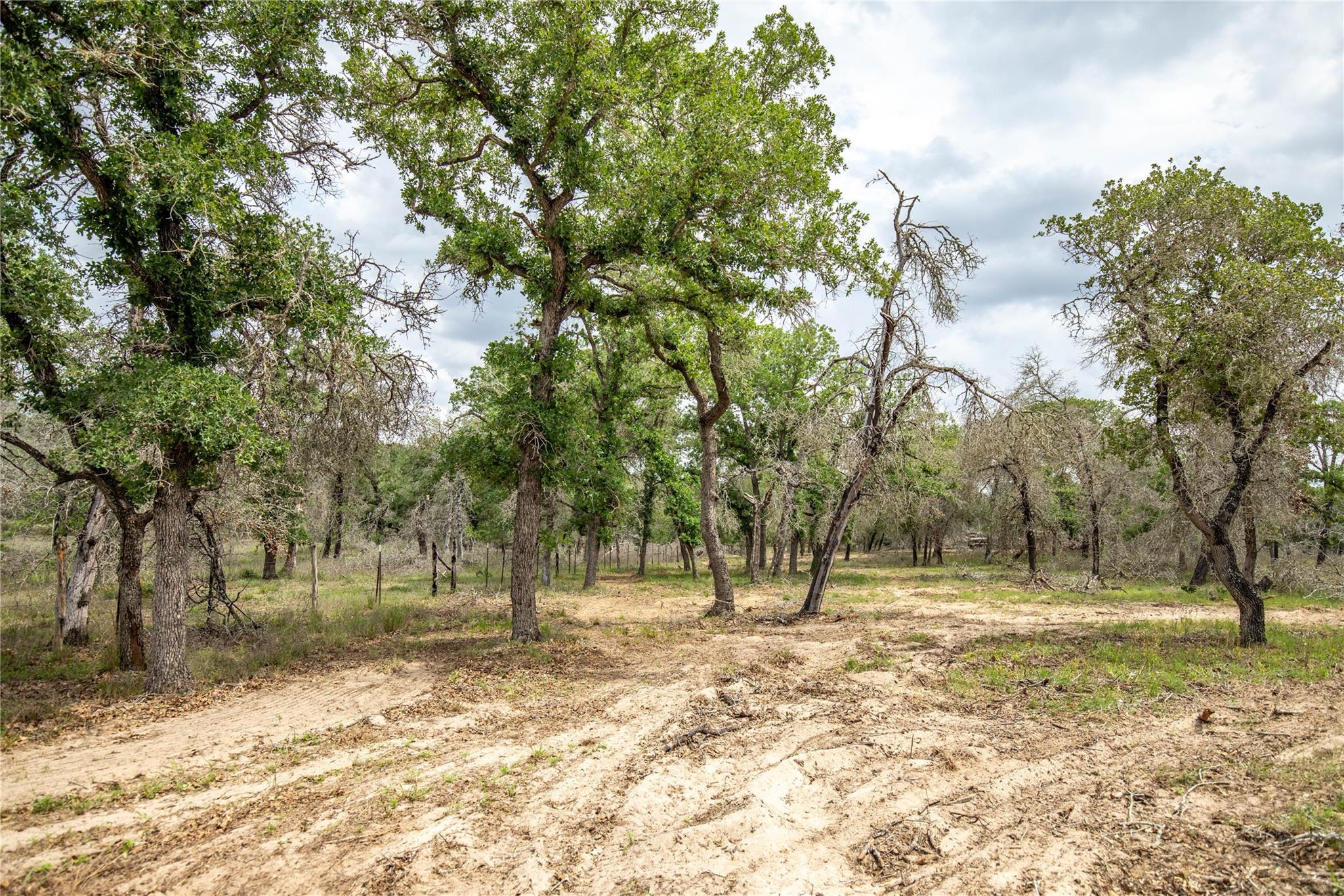 132 Roemer Ln W, Floresville, TX 78114