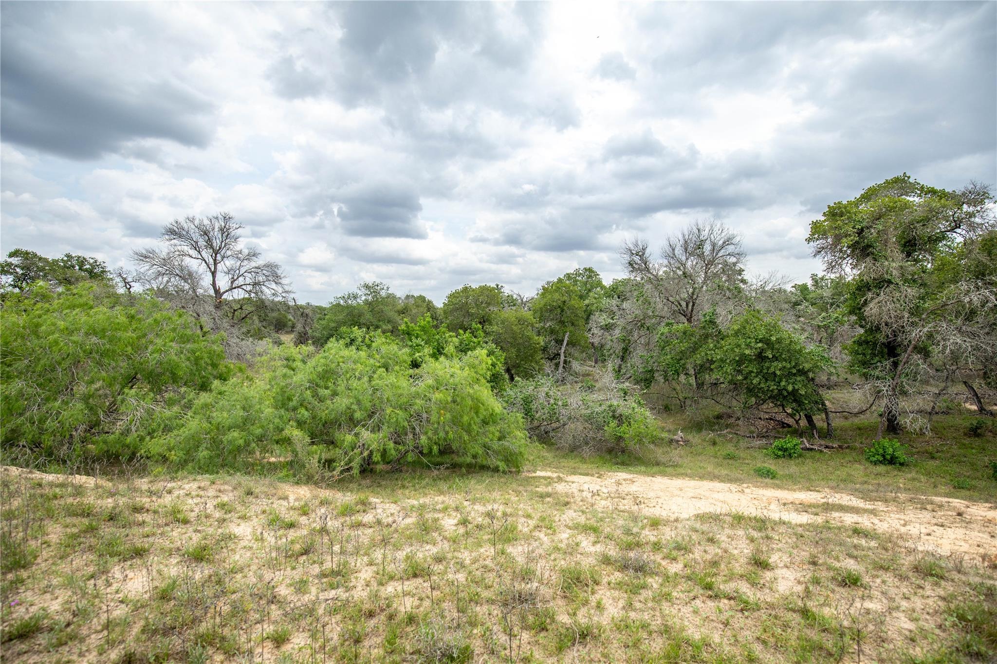 132 Roemer Ln W, Floresville, TX 78114