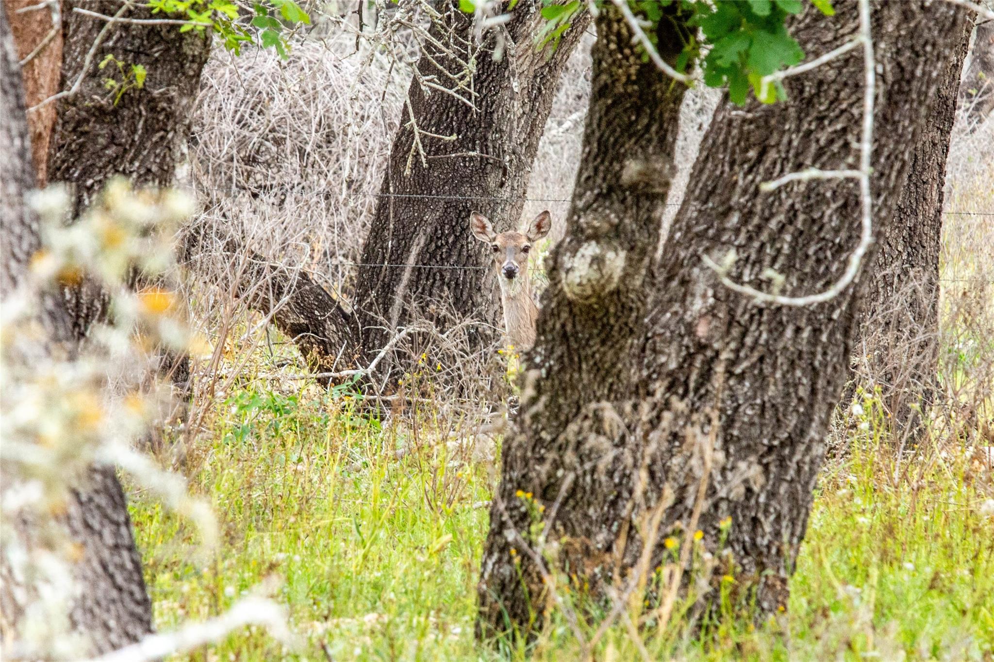 132 Roemer Ln W, Floresville, TX 78114