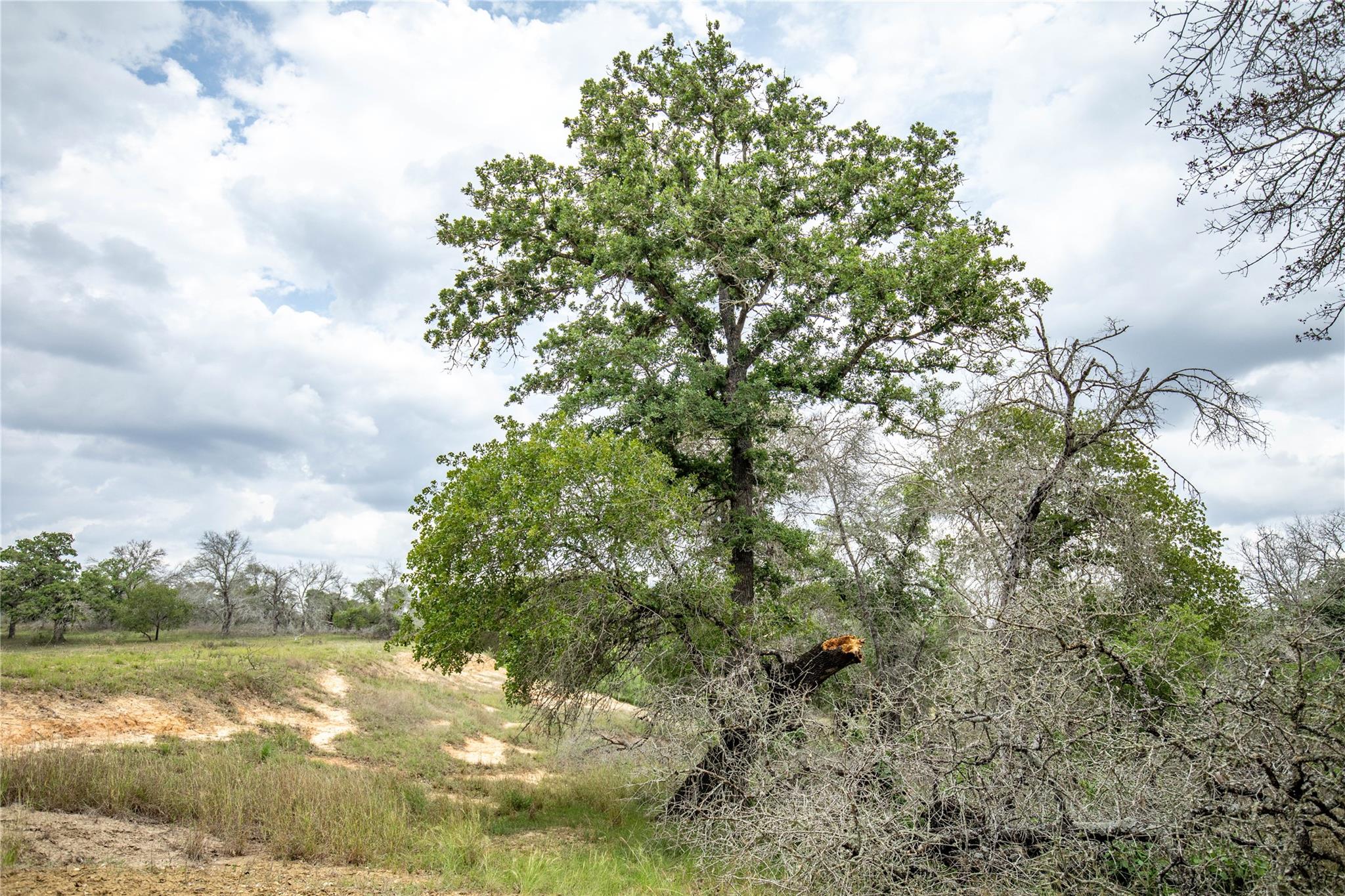 132 Roemer Ln W, Floresville, TX 78114