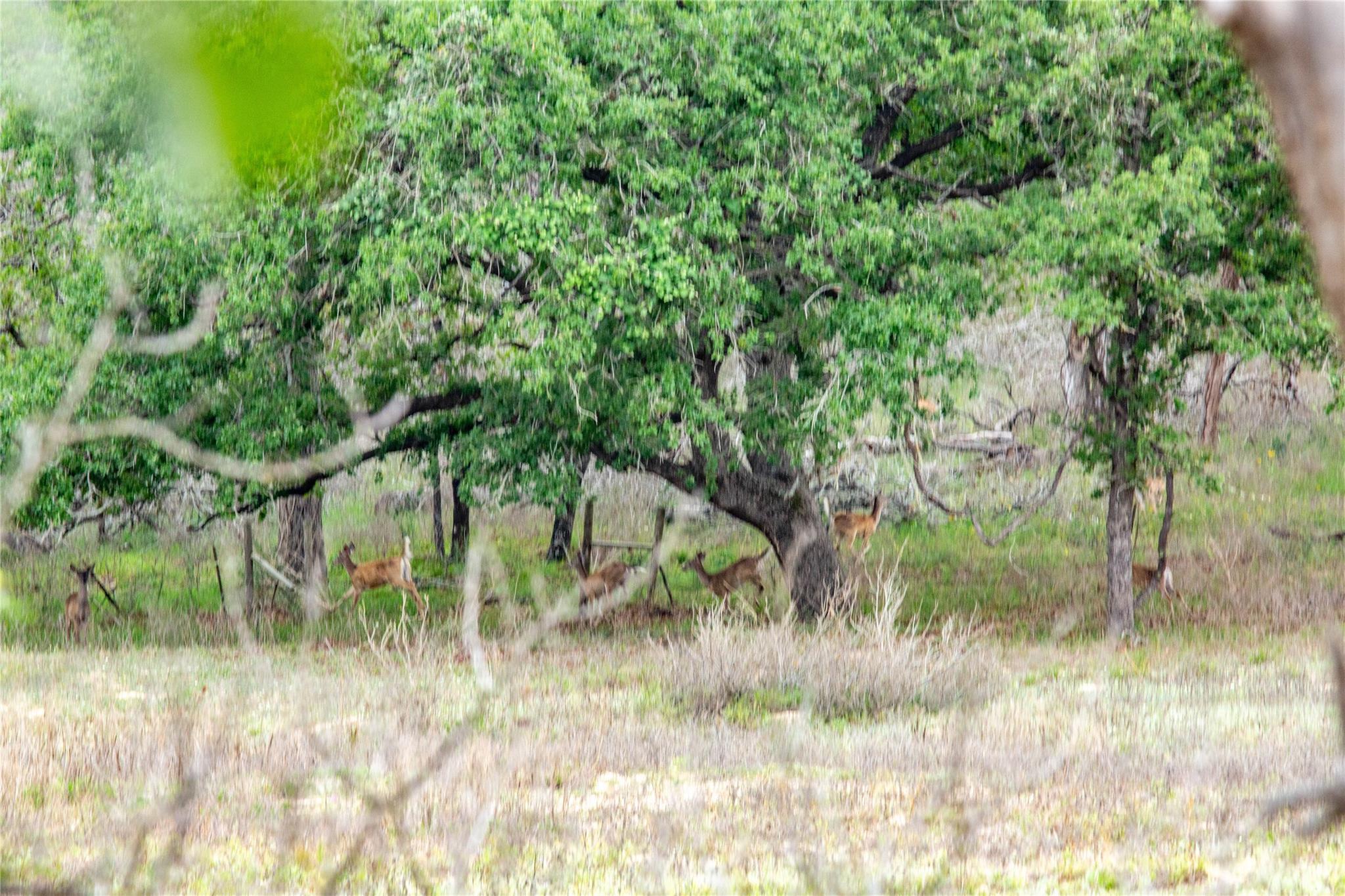 132 Roemer Ln W, Floresville, TX 78114