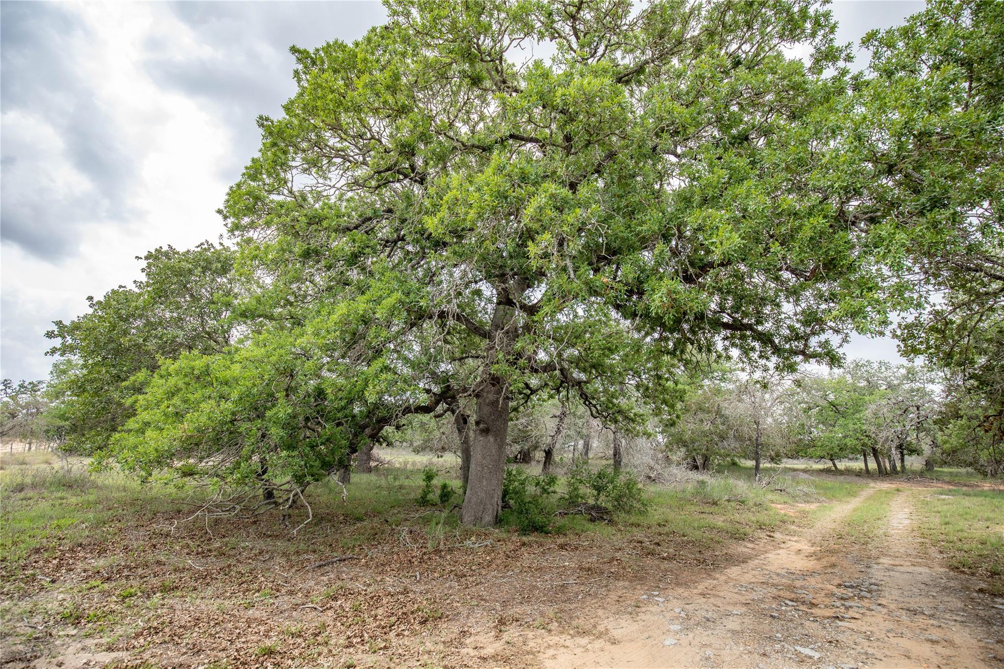 132 Roemer Ln W, Floresville, TX 78114