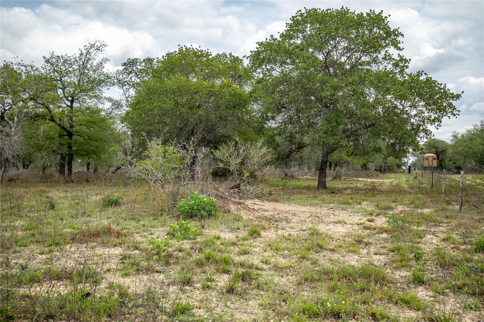 132 Roemer Ln W, Floresville, TX 78114