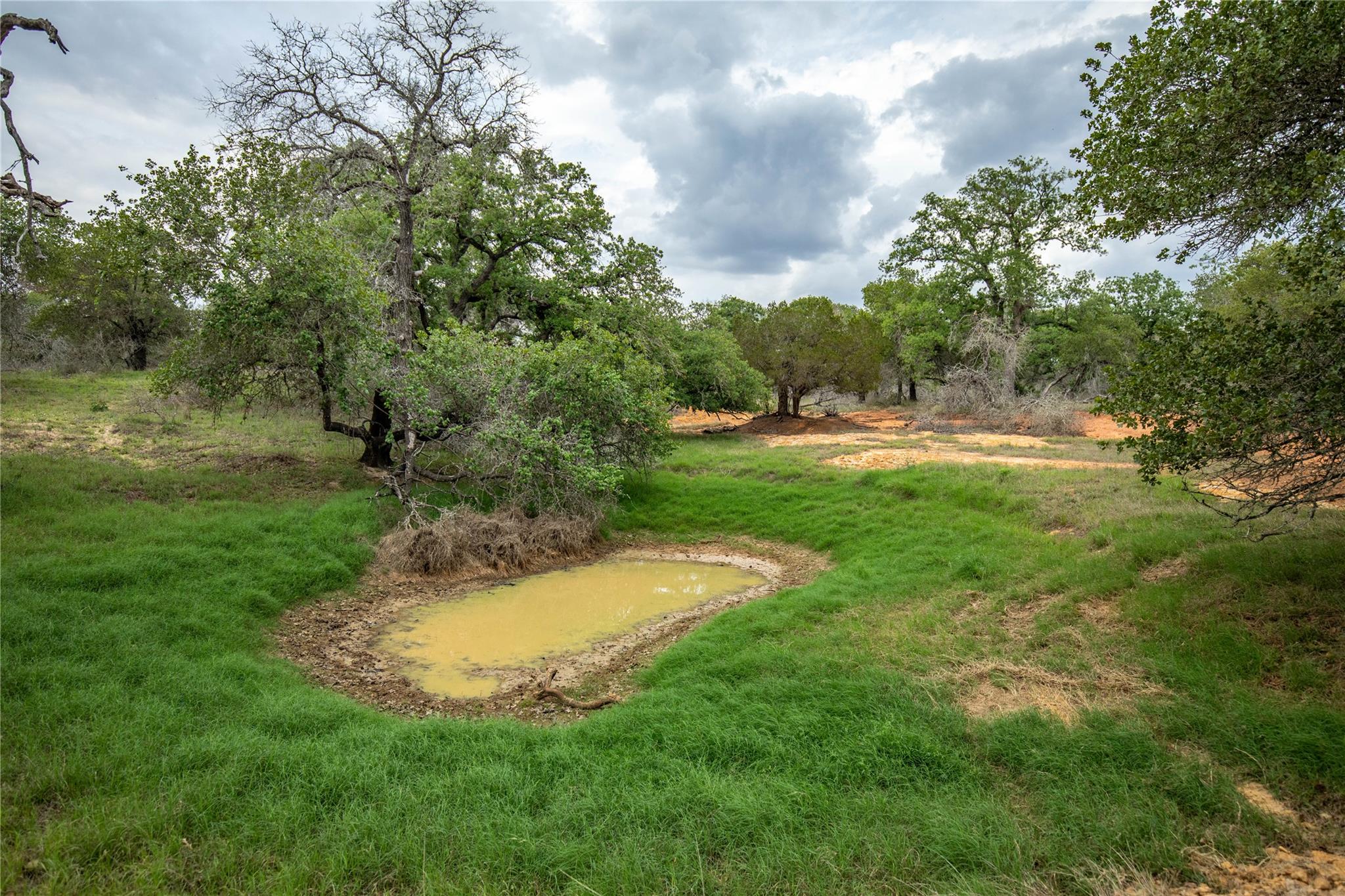 132 Roemer Ln W, Floresville, TX 78114