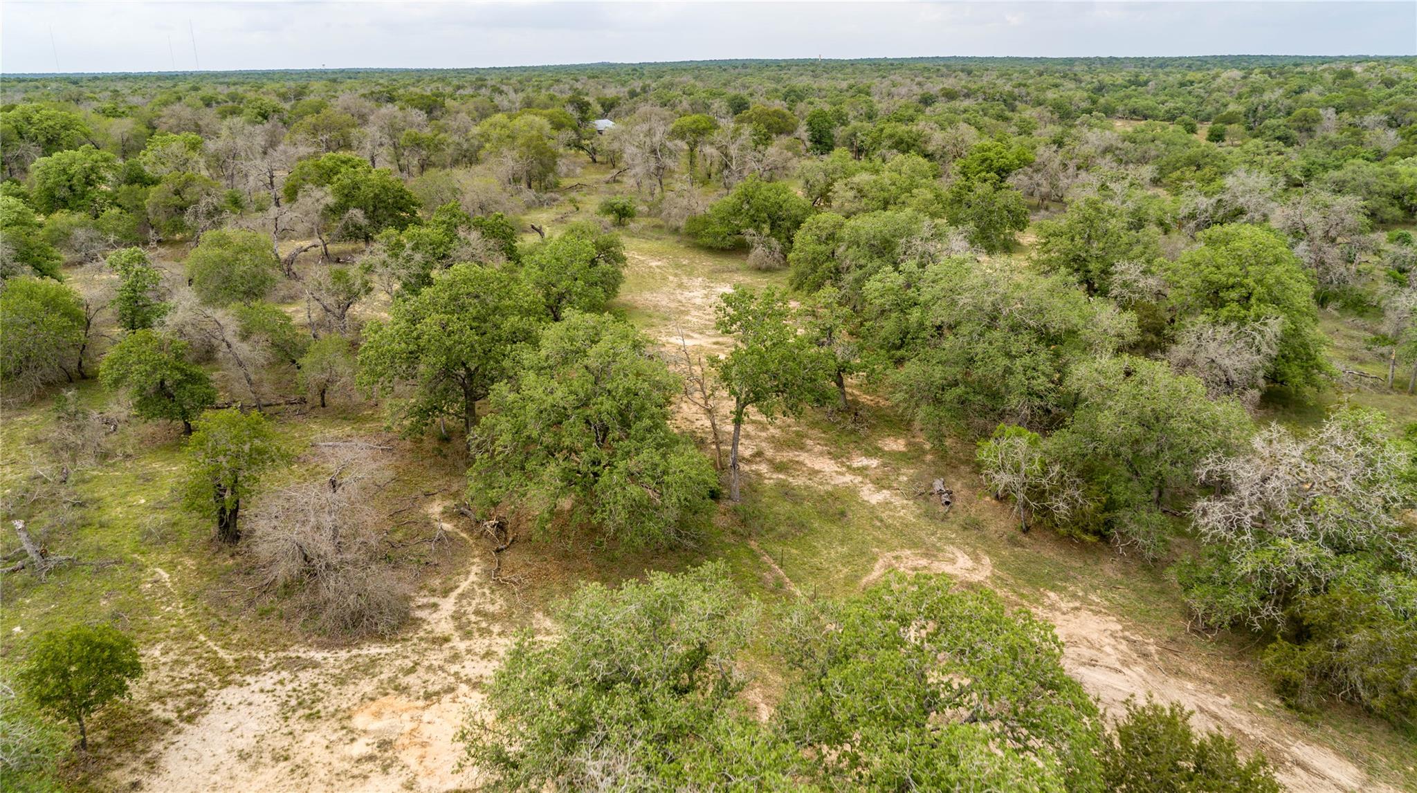 132 Roemer Ln W, Floresville, TX 78114