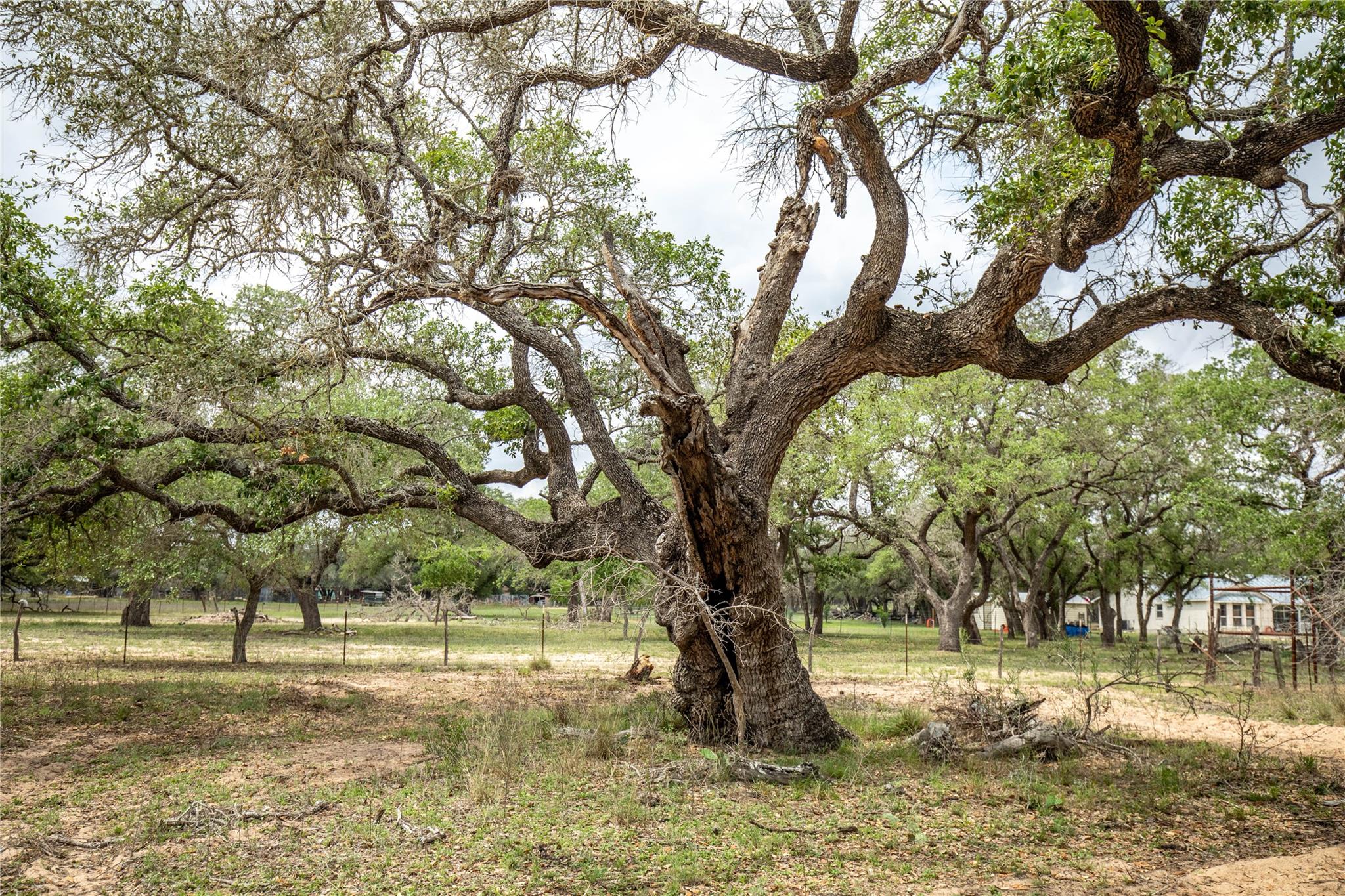 132 Roemer Ln W, Floresville, TX 78114