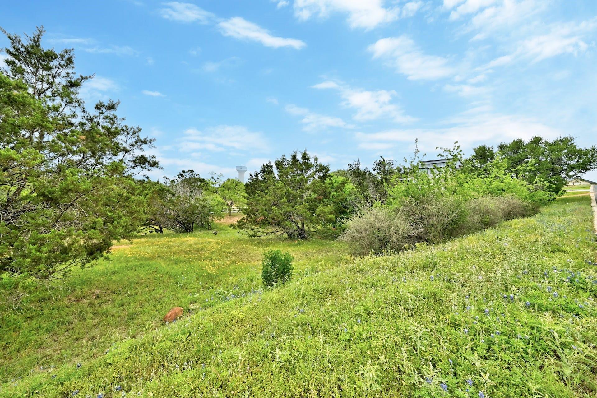 TBD Cats Eye (1), Horseshoe Bay, TX 78657