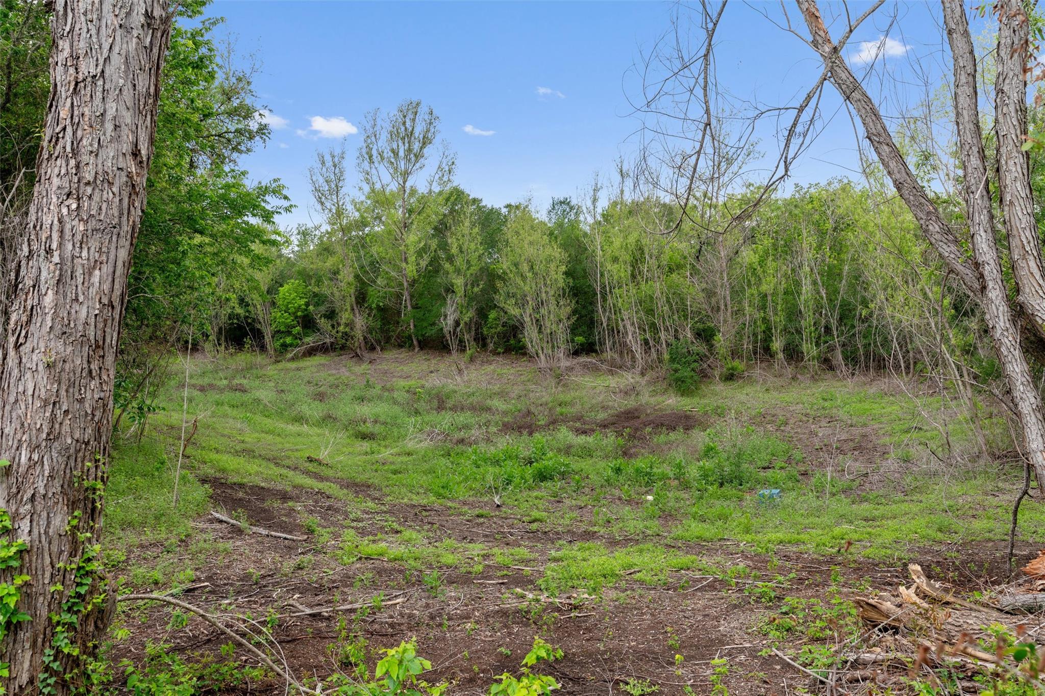 22515 Deidra Dr, Elgin, TX 78621