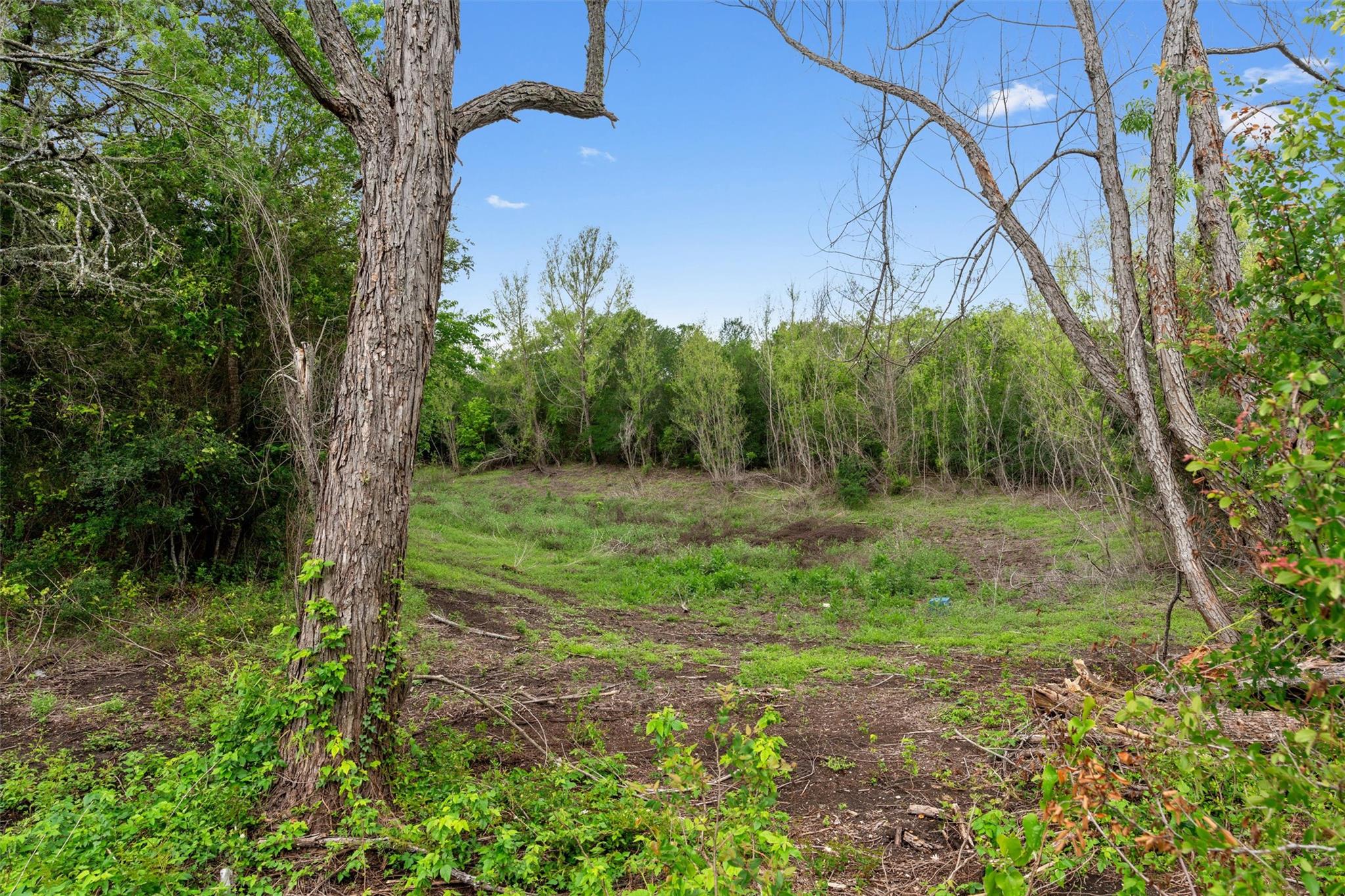 22515 Deidra Dr, Elgin, TX 78621