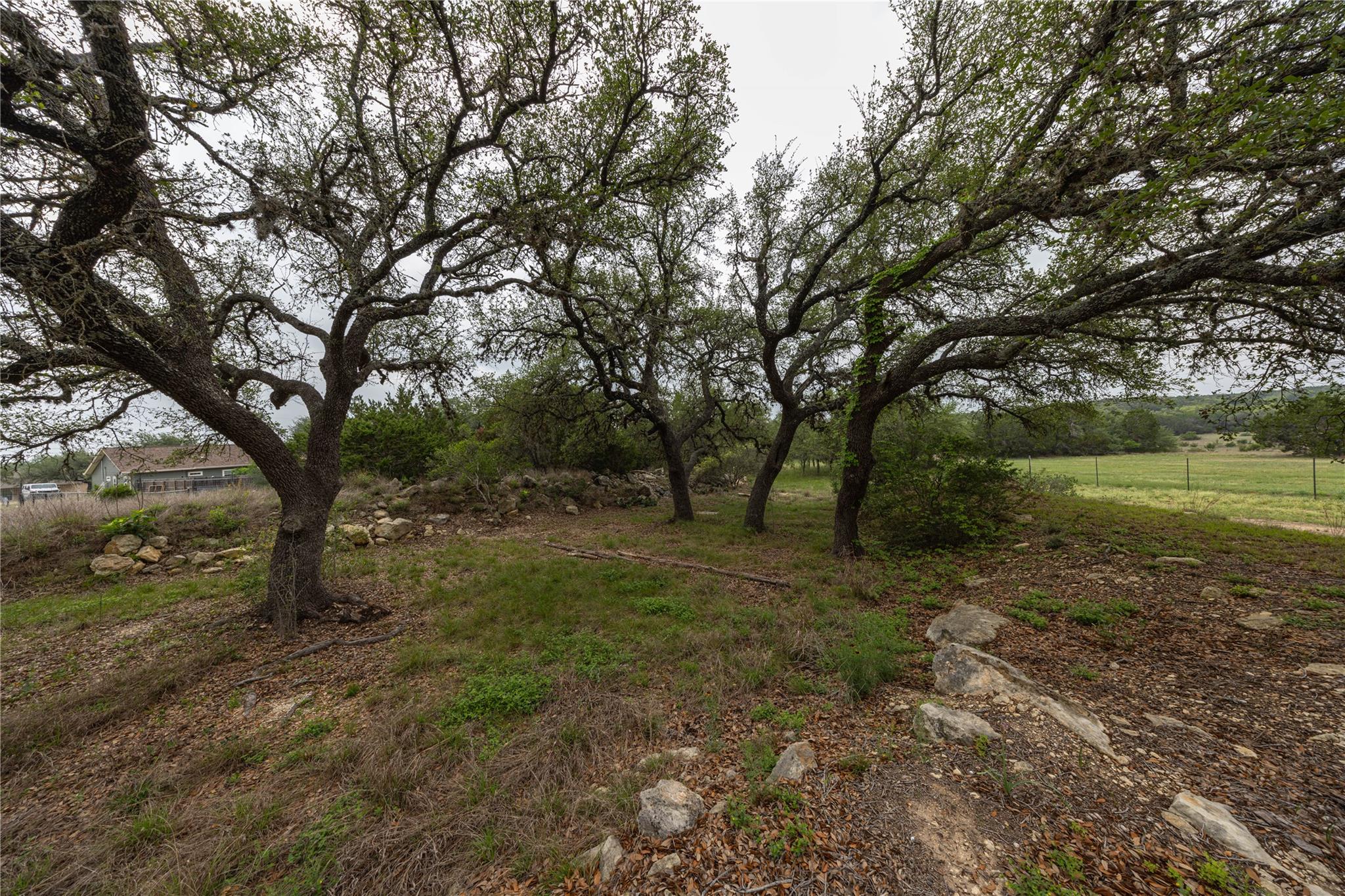 1645 Agarita Rd, Fischer, TX 78623