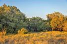 Lot 69 Mourning Dove Ln, Lampasas, TX 76550