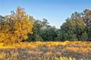 Lot 69 Mourning Dove Ln, Lampasas, TX 76550