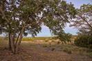 Lot 69 Mourning Dove Ln, Lampasas, TX 76550