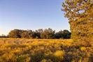 Lot 69 Mourning Dove Ln, Lampasas, TX 76550