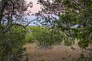 Lot 69 Mourning Dove Ln, Lampasas, TX 76550