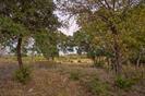 Lot 69 Mourning Dove Ln, Lampasas, TX 76550