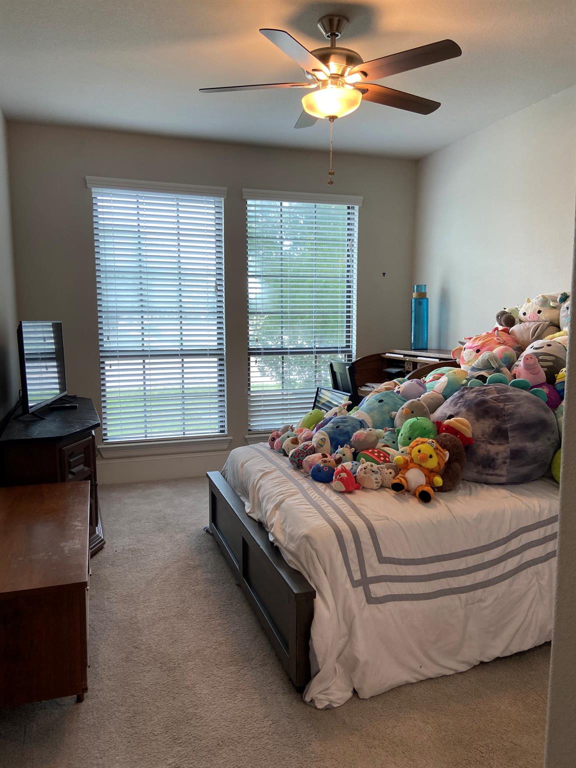 401 Millard St, Georgetown, TX 78628