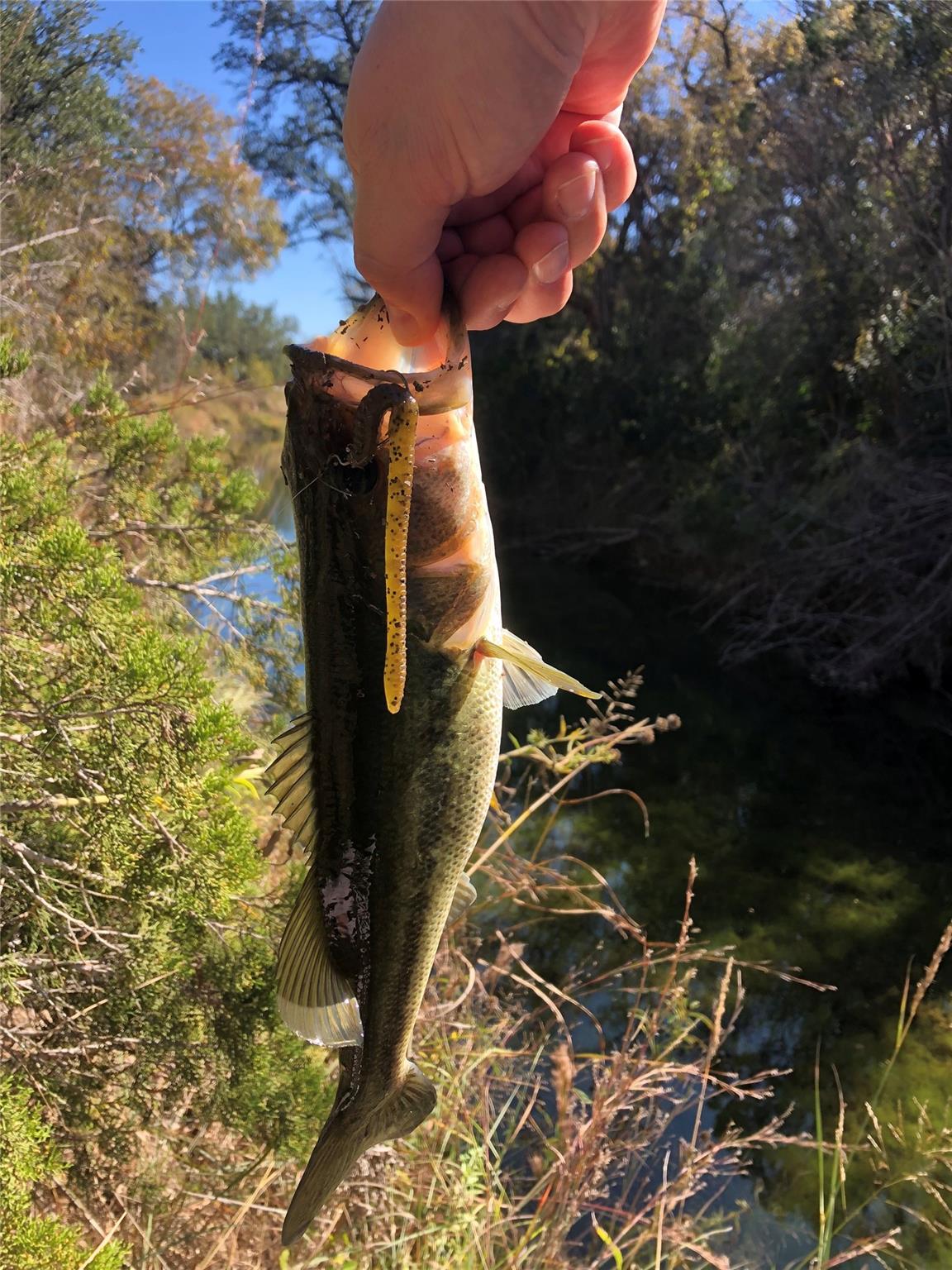 TBD S FM 1174, Bertram, TX 78605