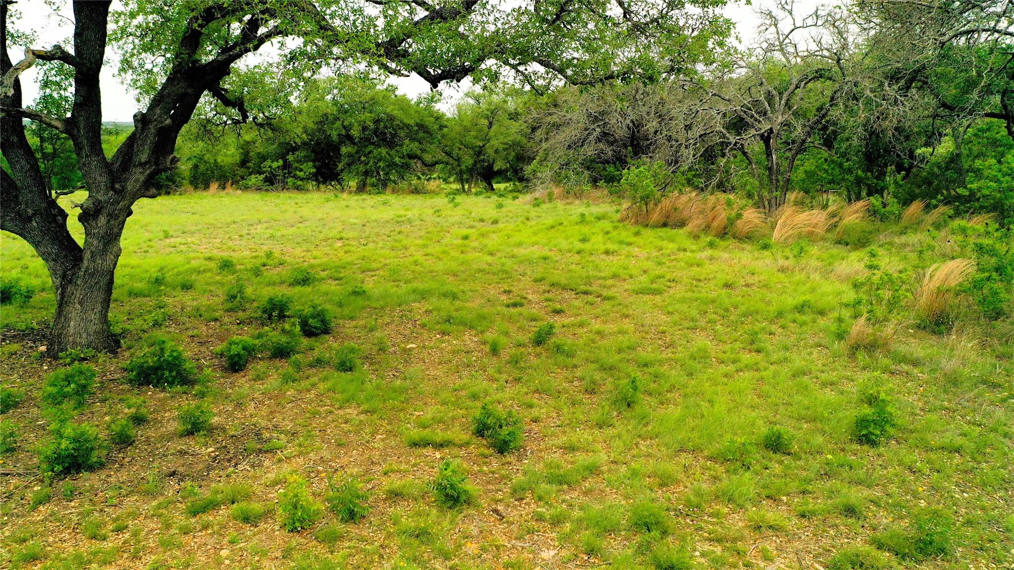 TBD CR 321, Bertram, TX 78605