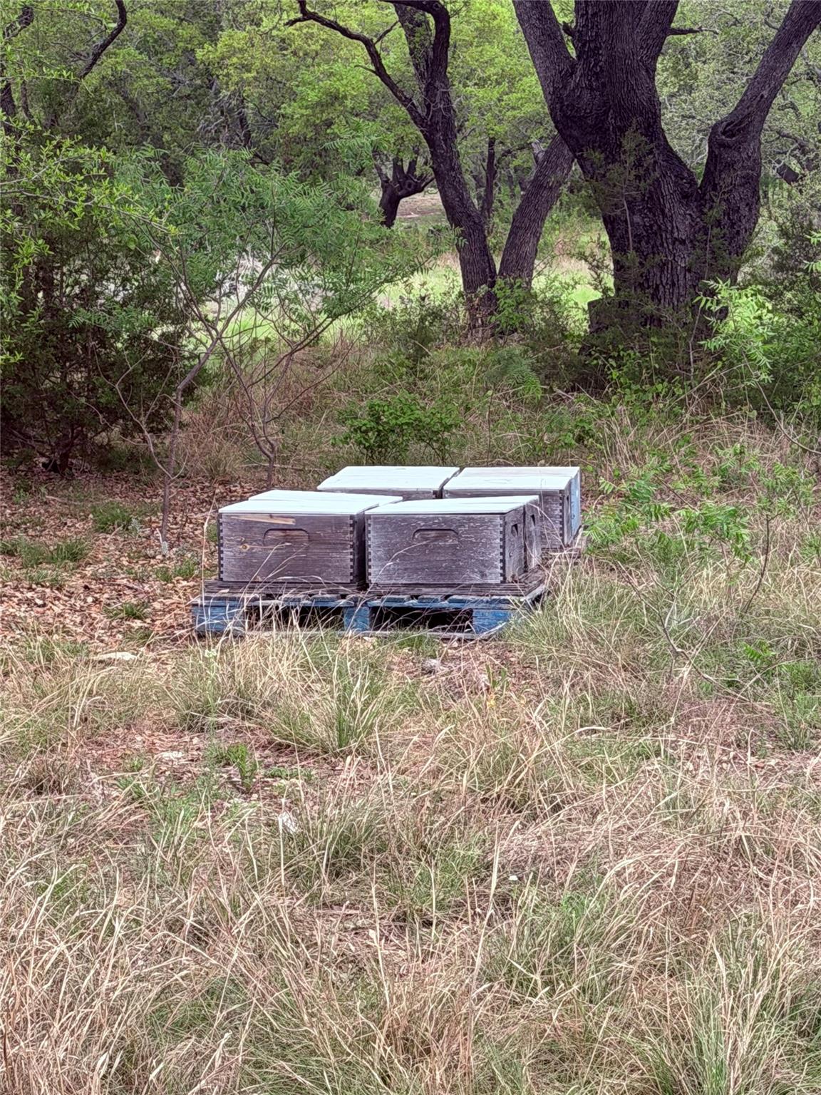 TBD CR 321, Bertram, TX 78605