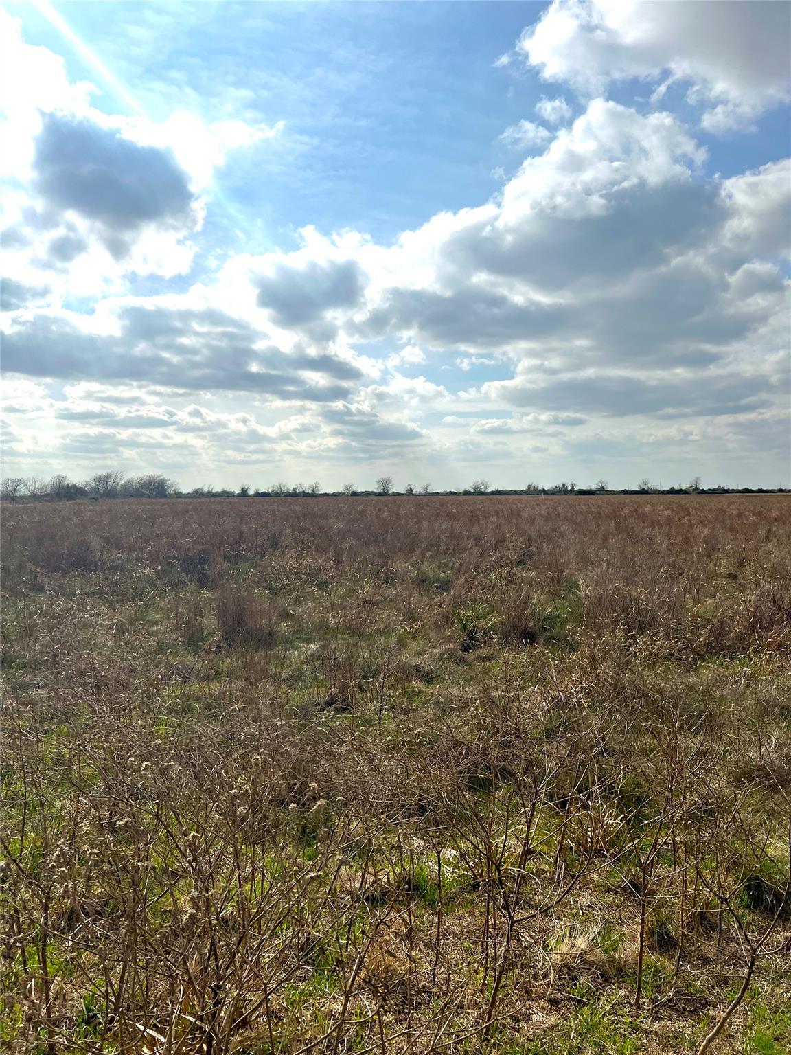 TBD lot 2 Beal Rd, Eagle Lake, TX 77434