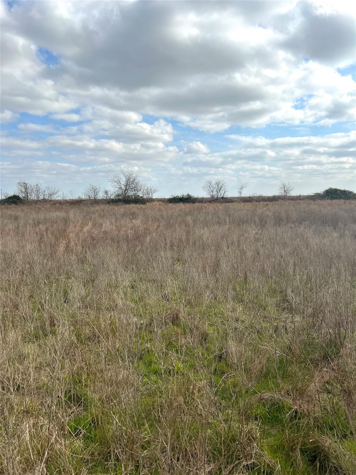 TBD lot 2 Beal Rd, Eagle Lake, TX 77434