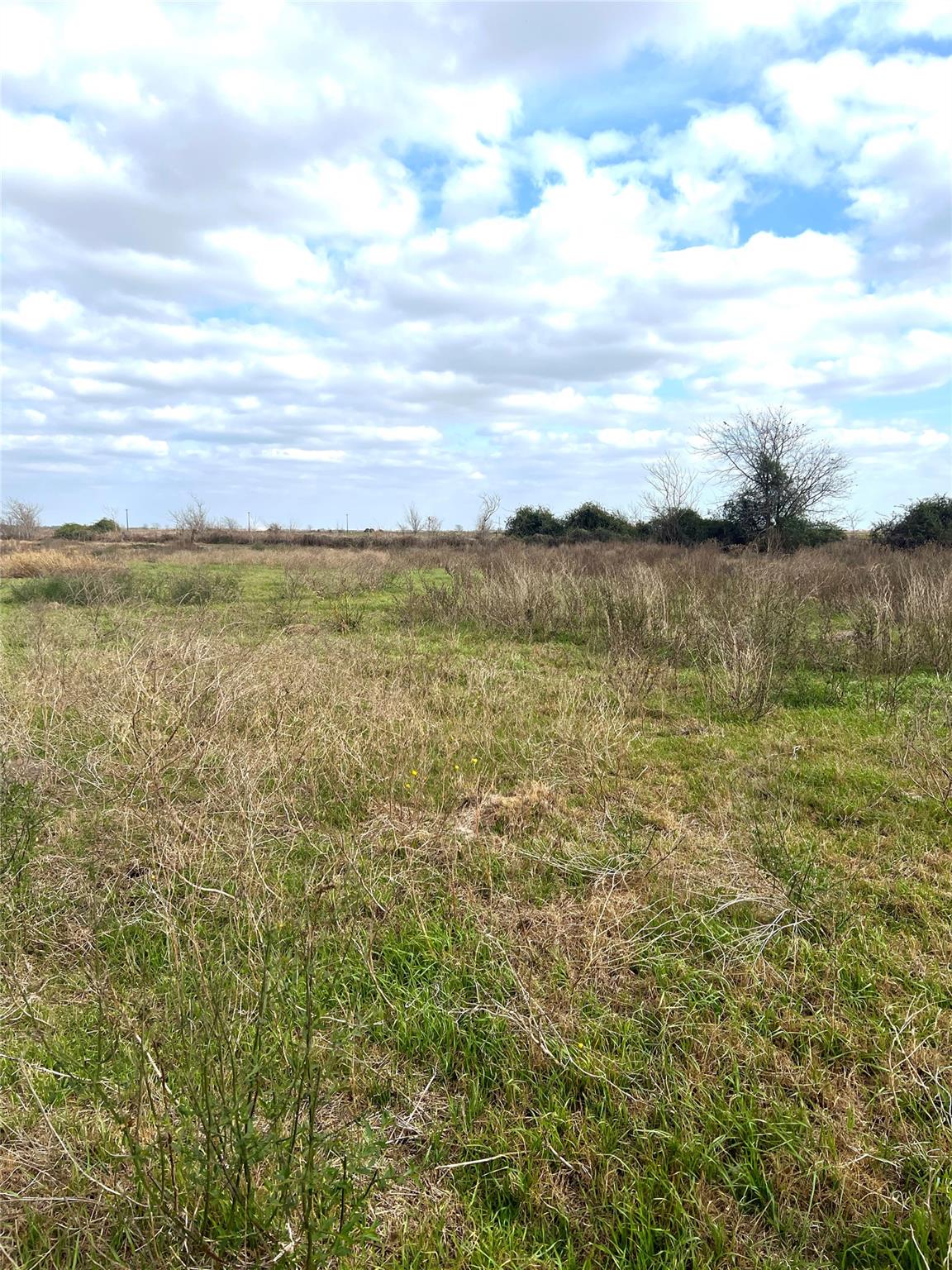 TBD lot 2 Beal Rd, Eagle Lake, TX 77434