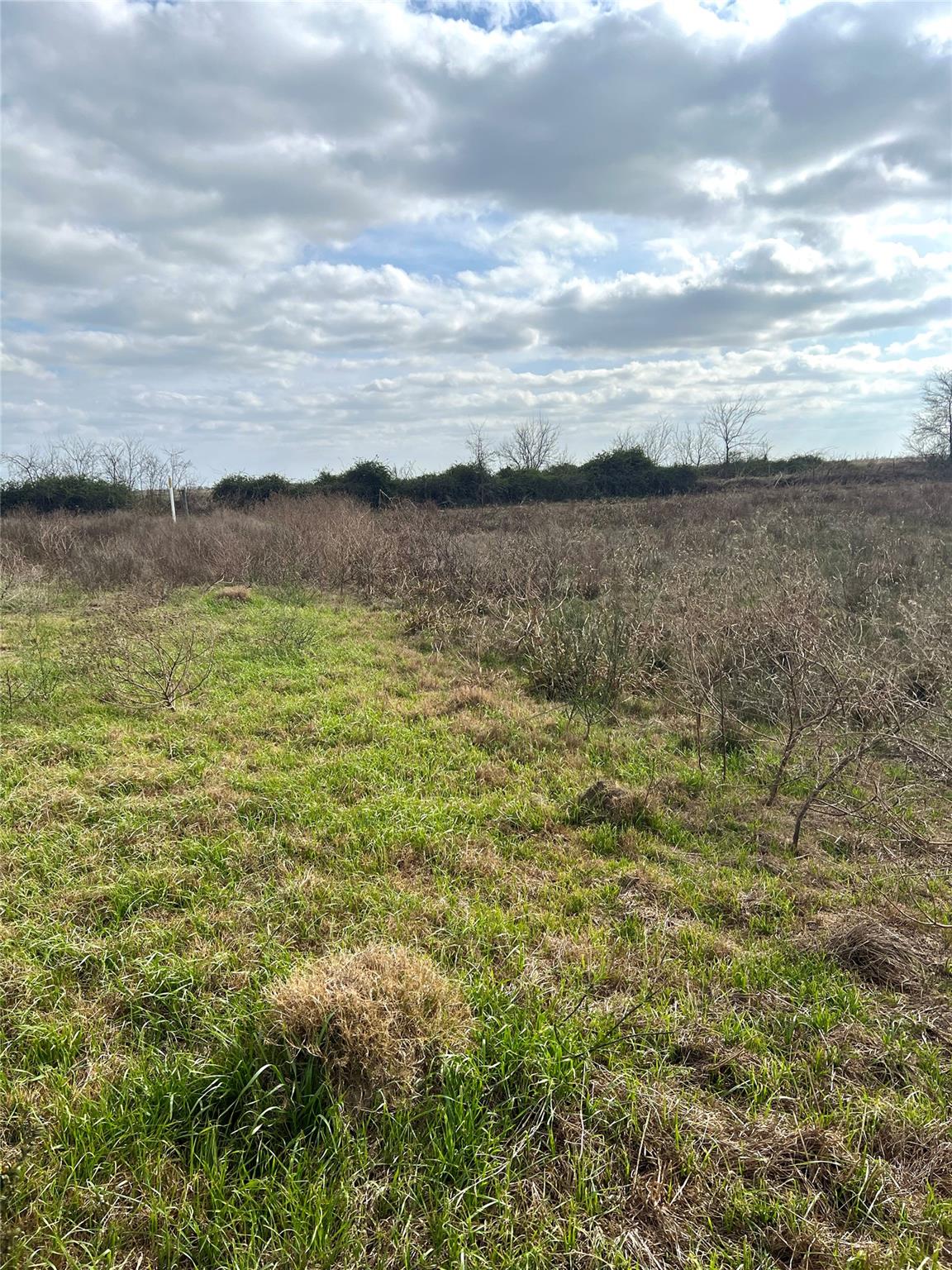 TBD lot 2 Beal Rd, Eagle Lake, TX 77434