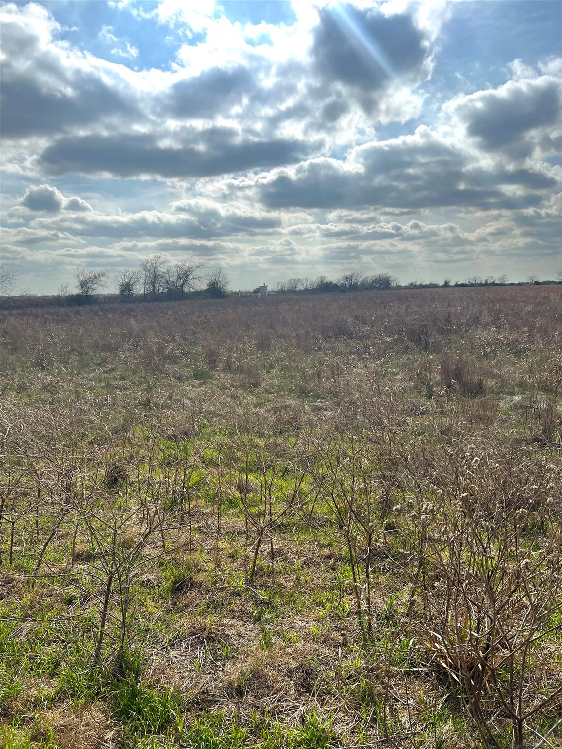 TBD lot 2 Beal Rd, Eagle Lake, TX 77434