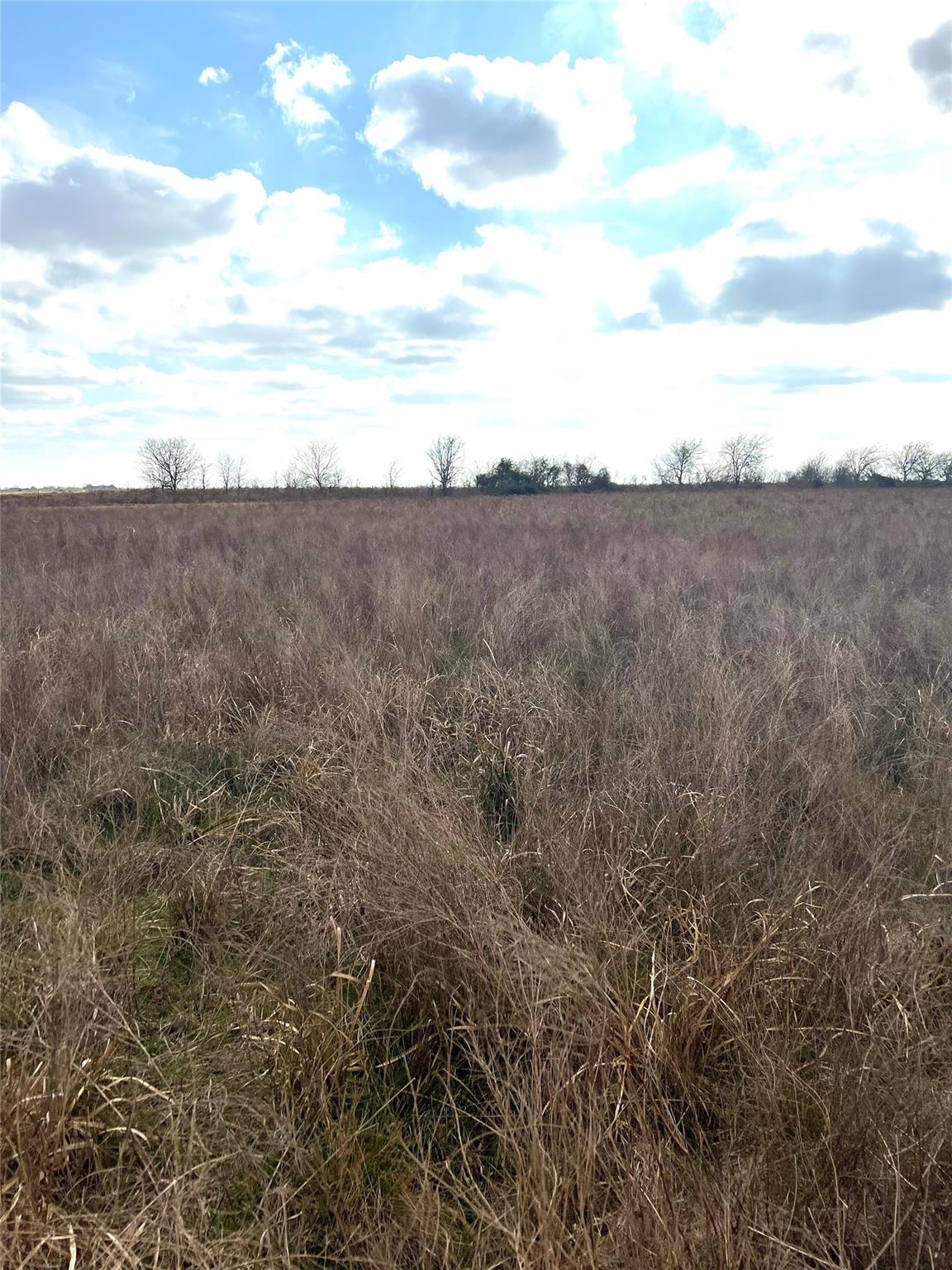 TBD lot 2 Beal Rd, Eagle Lake, TX 77434