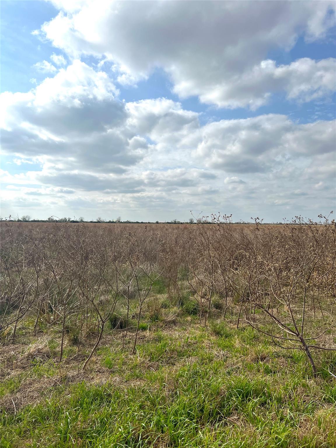 TBD lot 2 Beal Rd, Eagle Lake, TX 77434