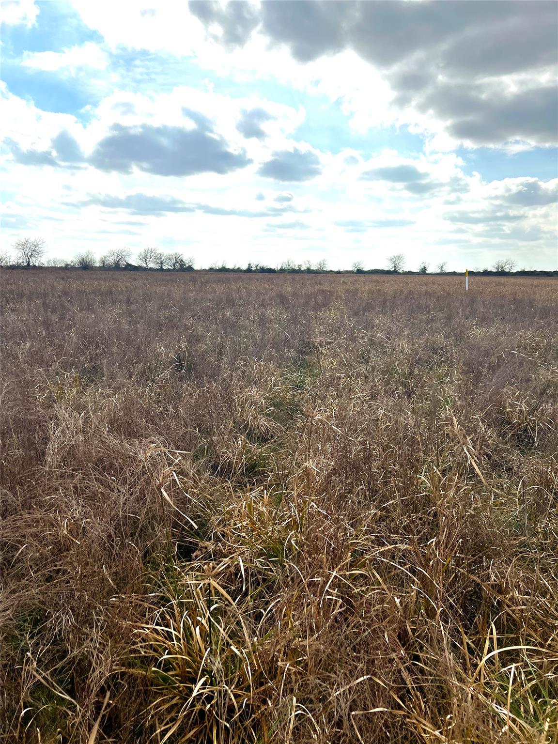 TBD lot 2 Beal Rd, Eagle Lake, TX 77434