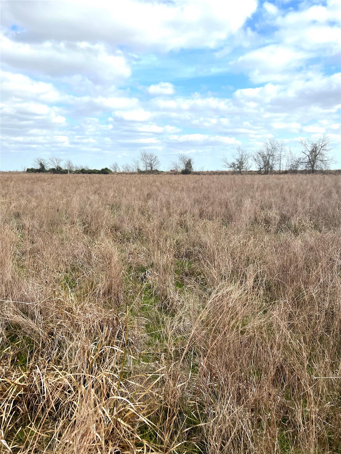 TBD lot 2 Beal Rd, Eagle Lake, TX 77434