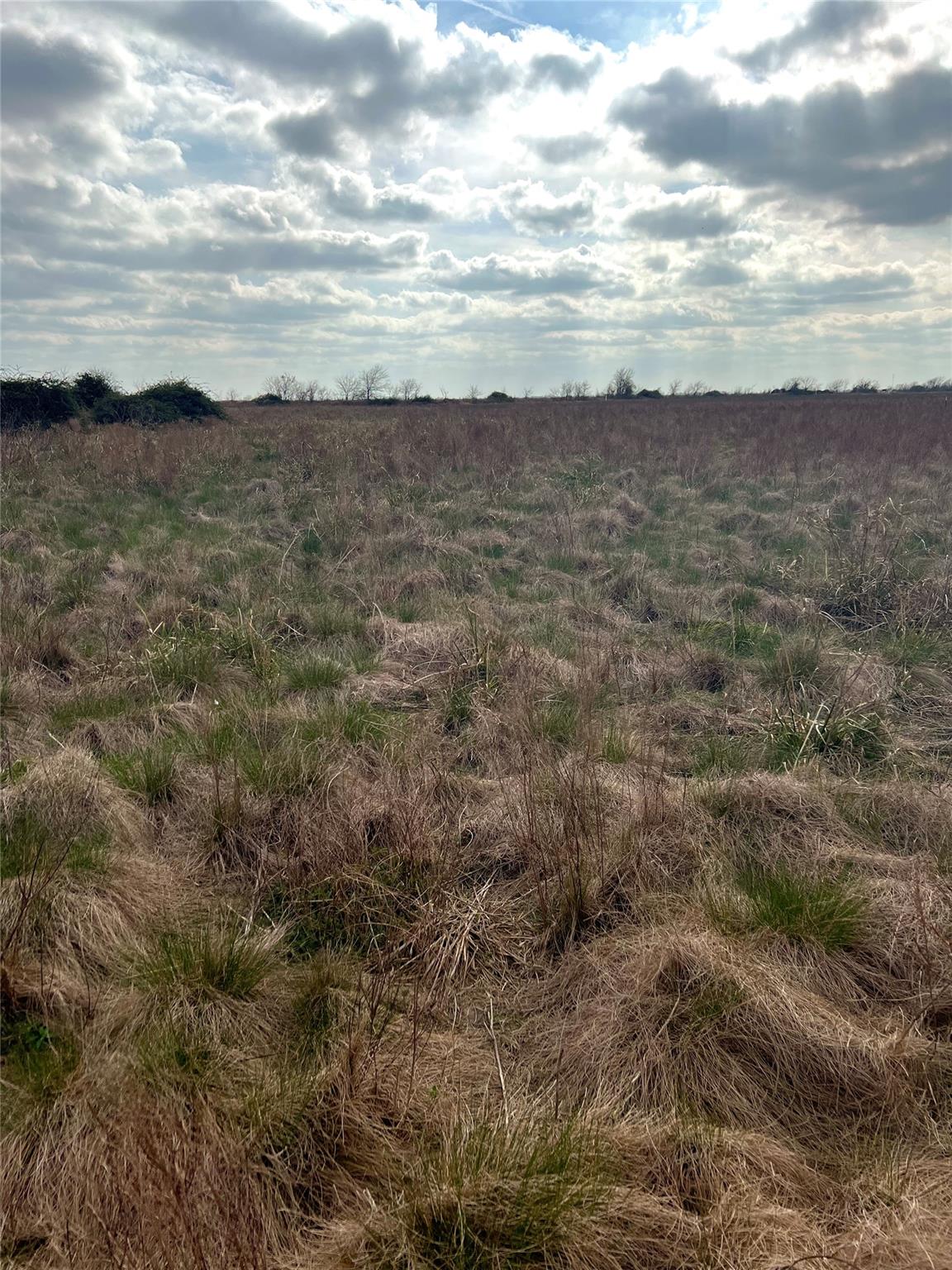 TBD lot 2 Beal Rd, Eagle Lake, TX 77434