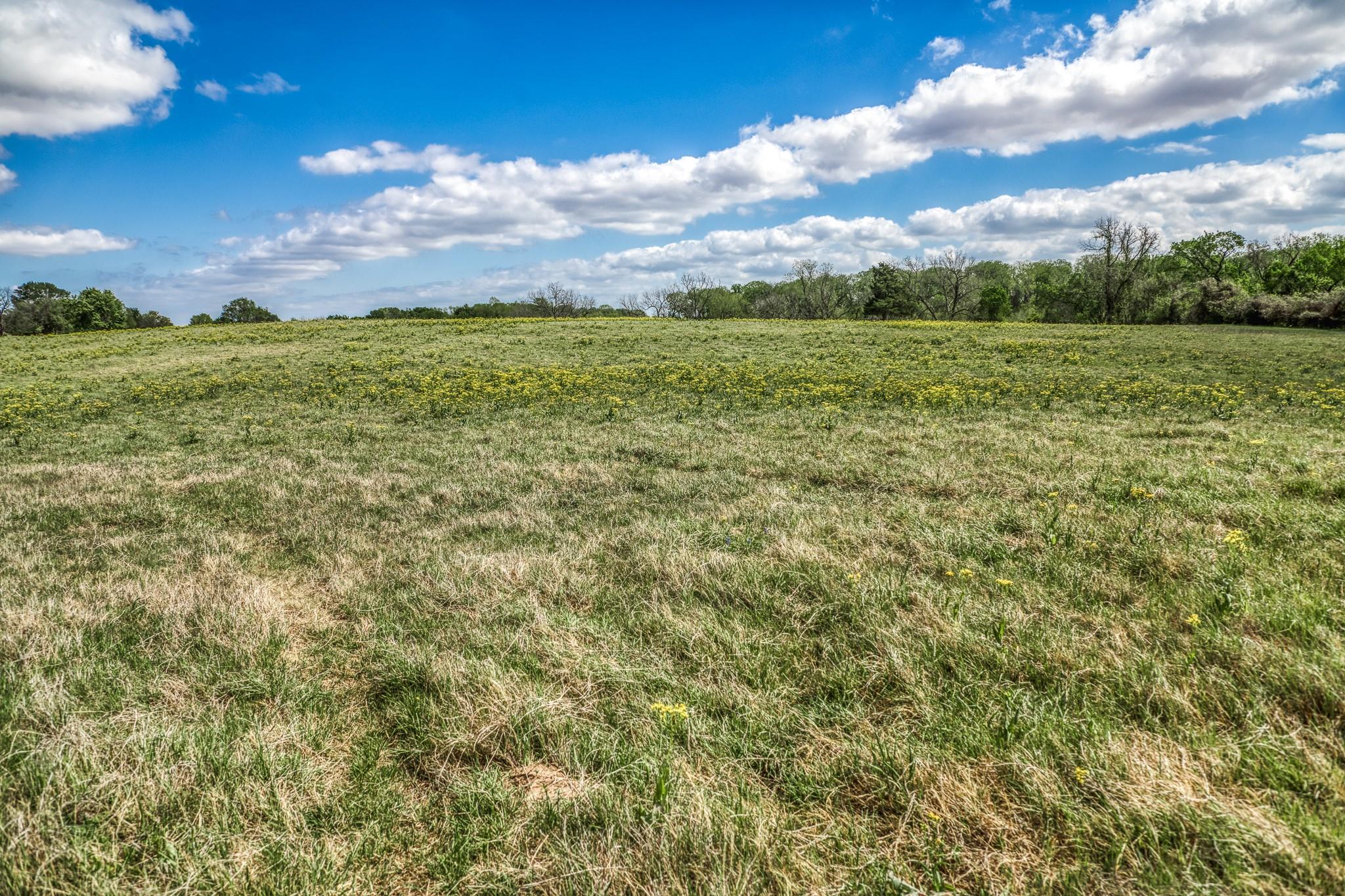 11320 County Road 343, Caldwell, TX 77836