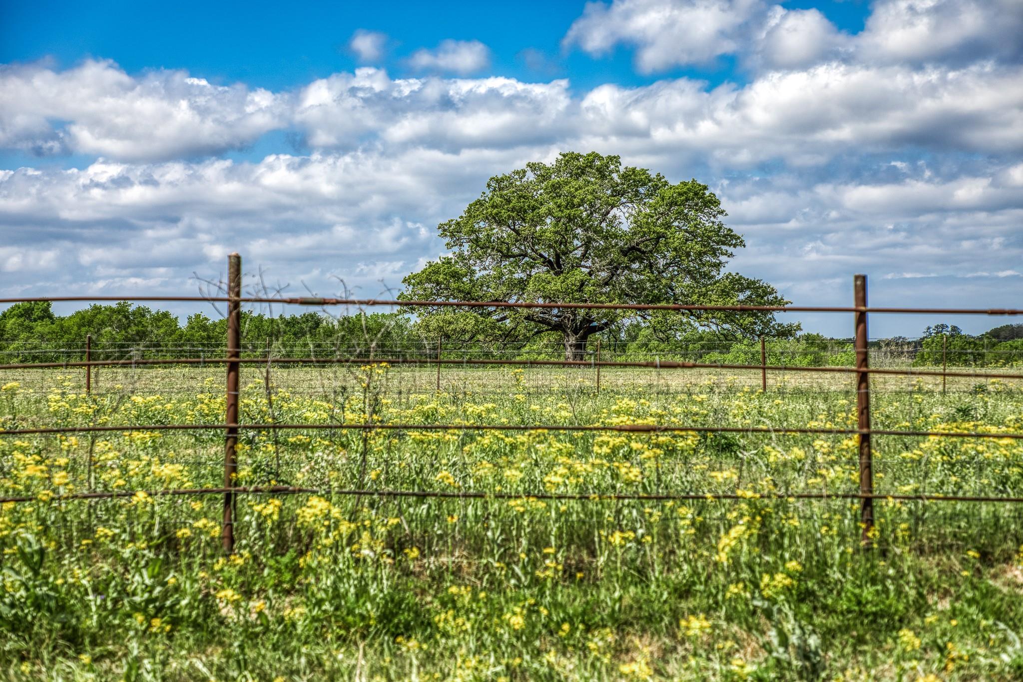 11320 County Road 343, Caldwell, TX 77836