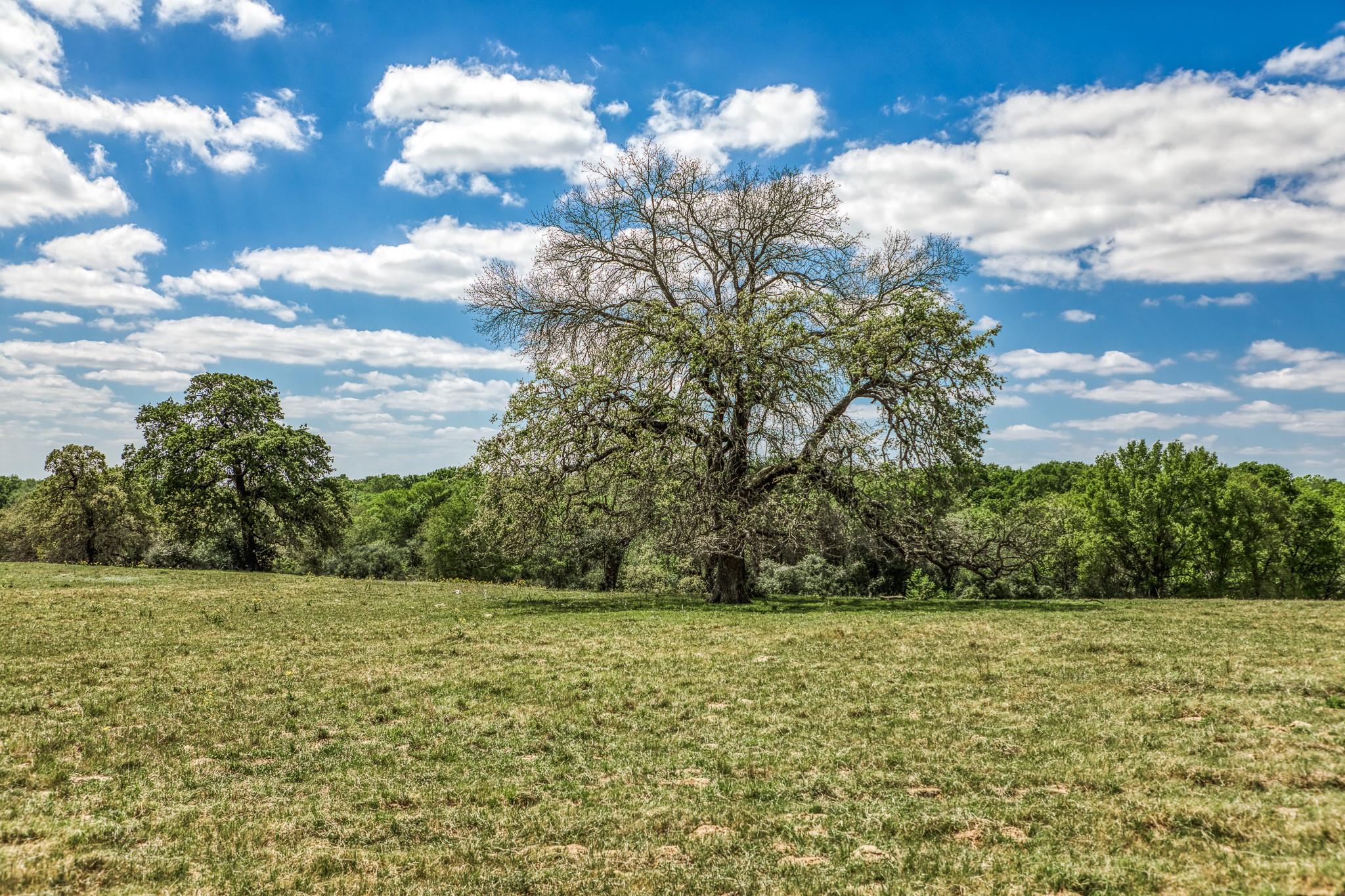 11320 County Road 343, Caldwell, TX 77836