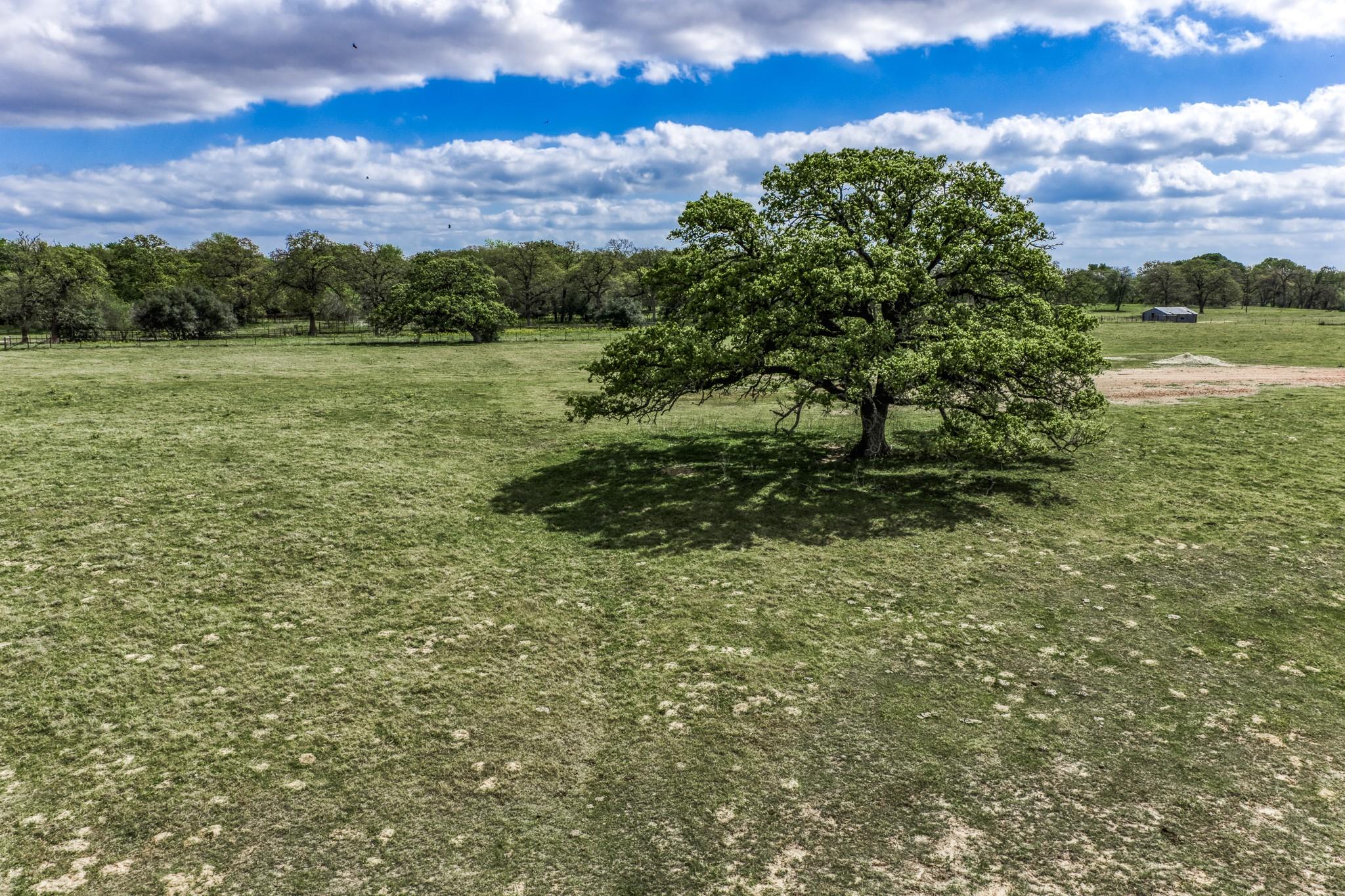 11320 County Road 343, Caldwell, TX 77836