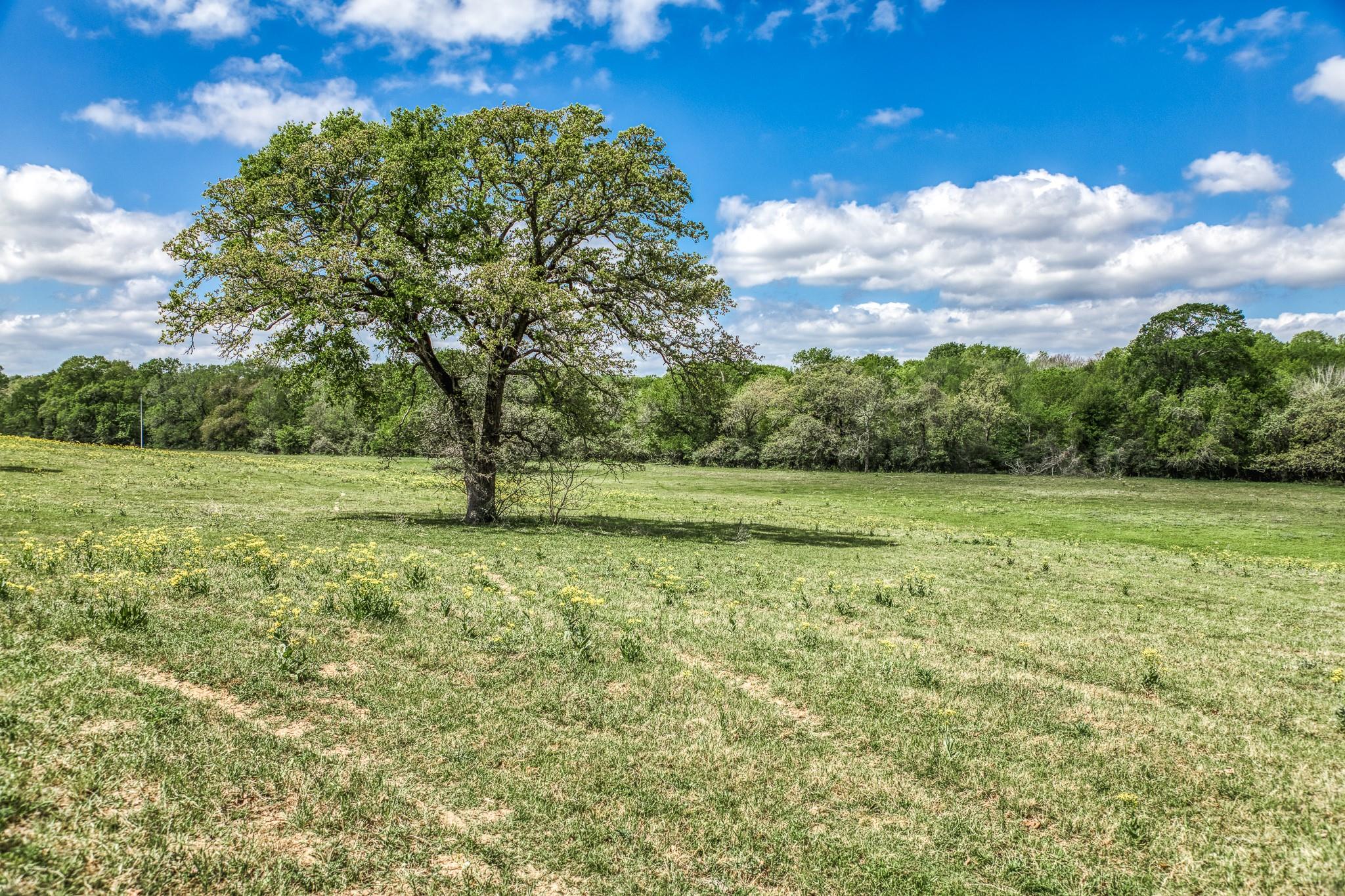 11320 County Road 343, Caldwell, TX 77836