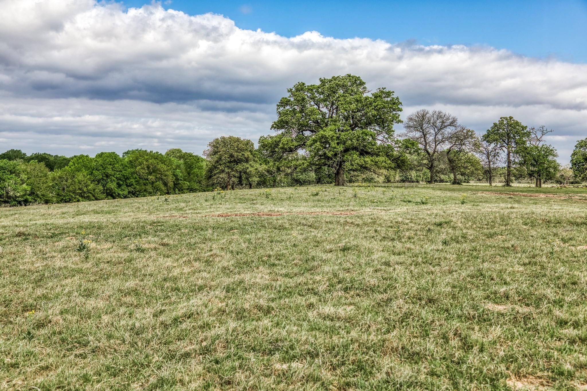11320 County Road 343, Caldwell, TX 77836