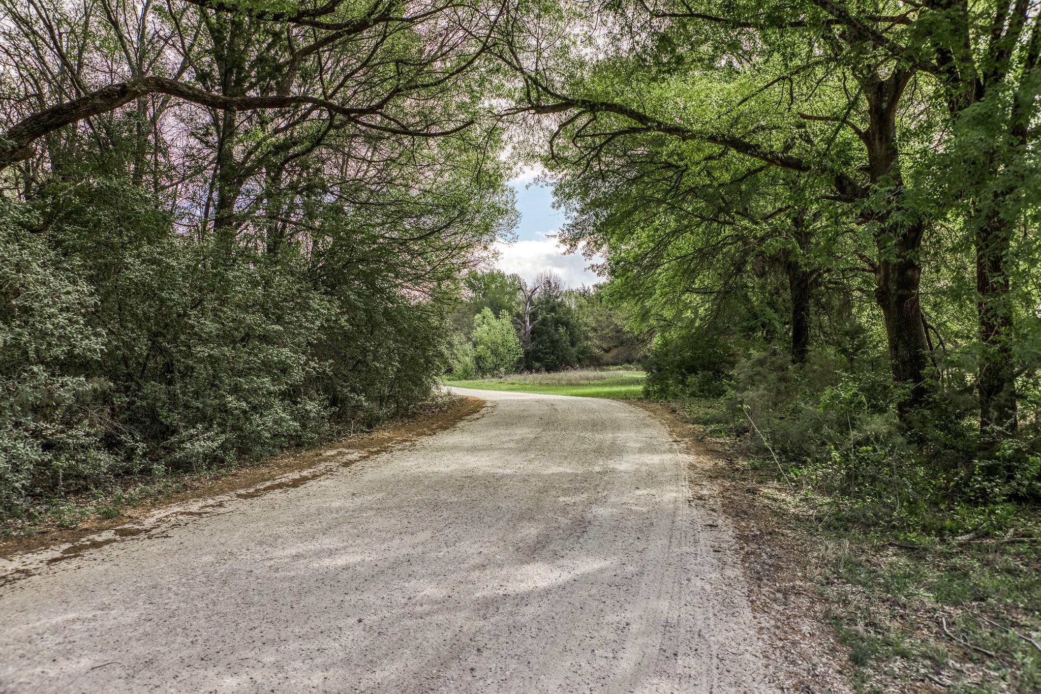11320 County Road 343, Caldwell, TX 77836