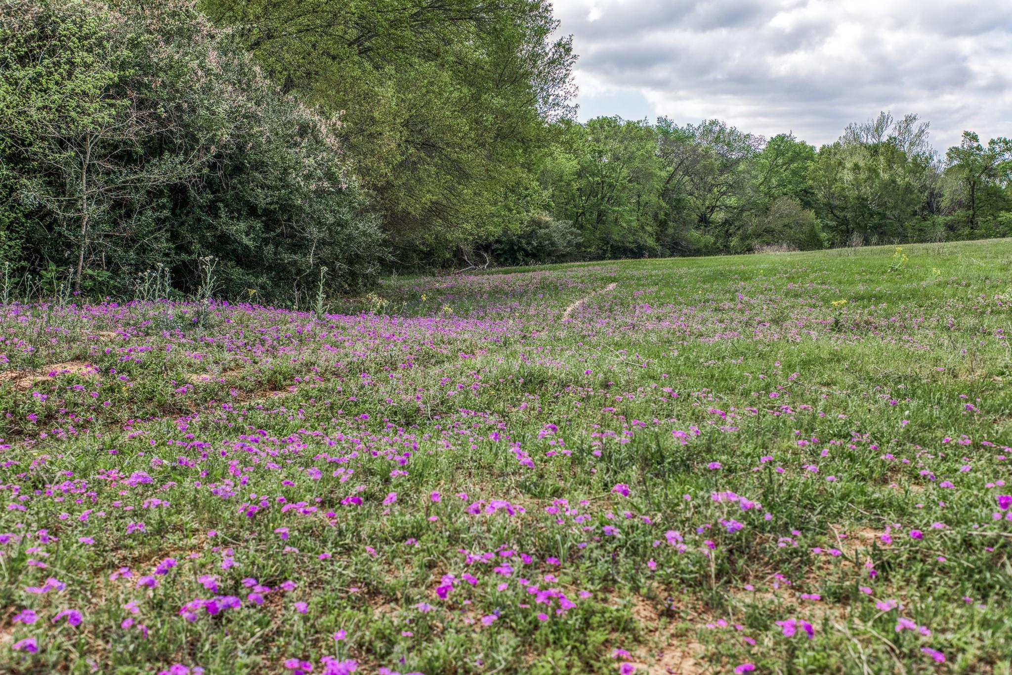 11320 County Road 343, Caldwell, TX 77836