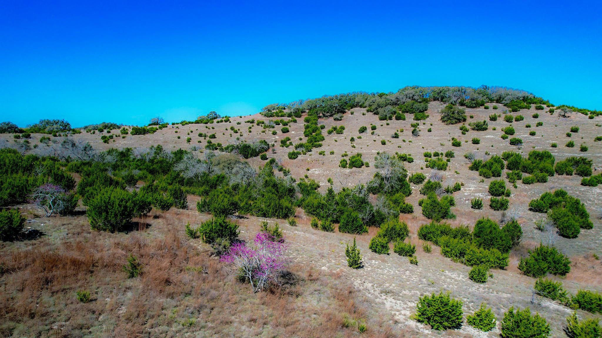 Lot 211 Majestic Hills Dr, Blanco, TX 78606