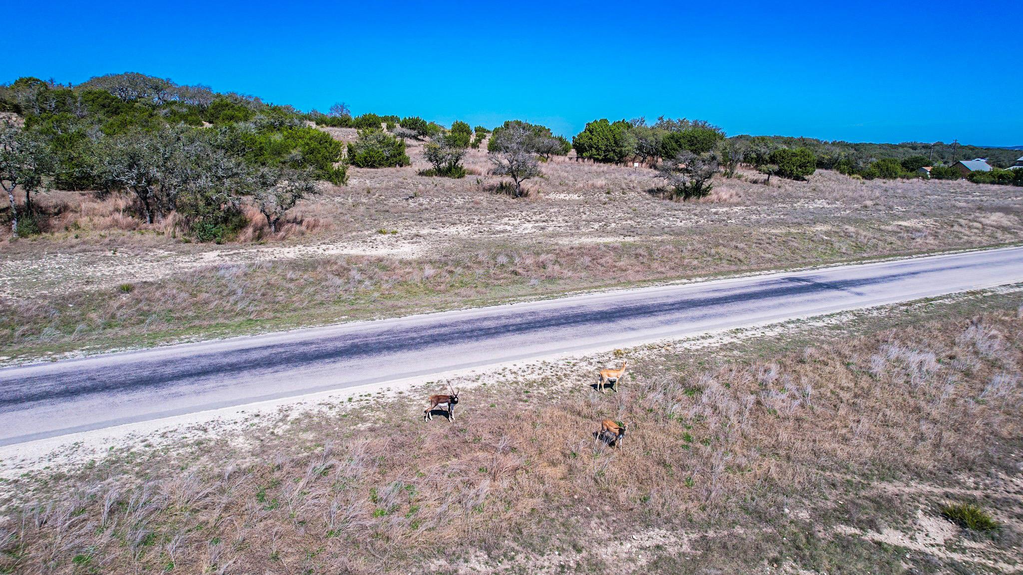 Lot 211 Majestic Hills Dr, Blanco, TX 78606