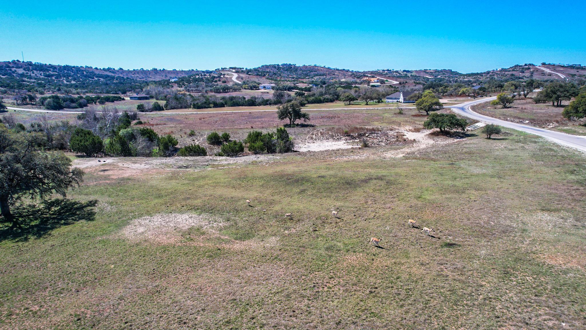 Lot 211 Majestic Hills Dr, Blanco, TX 78606