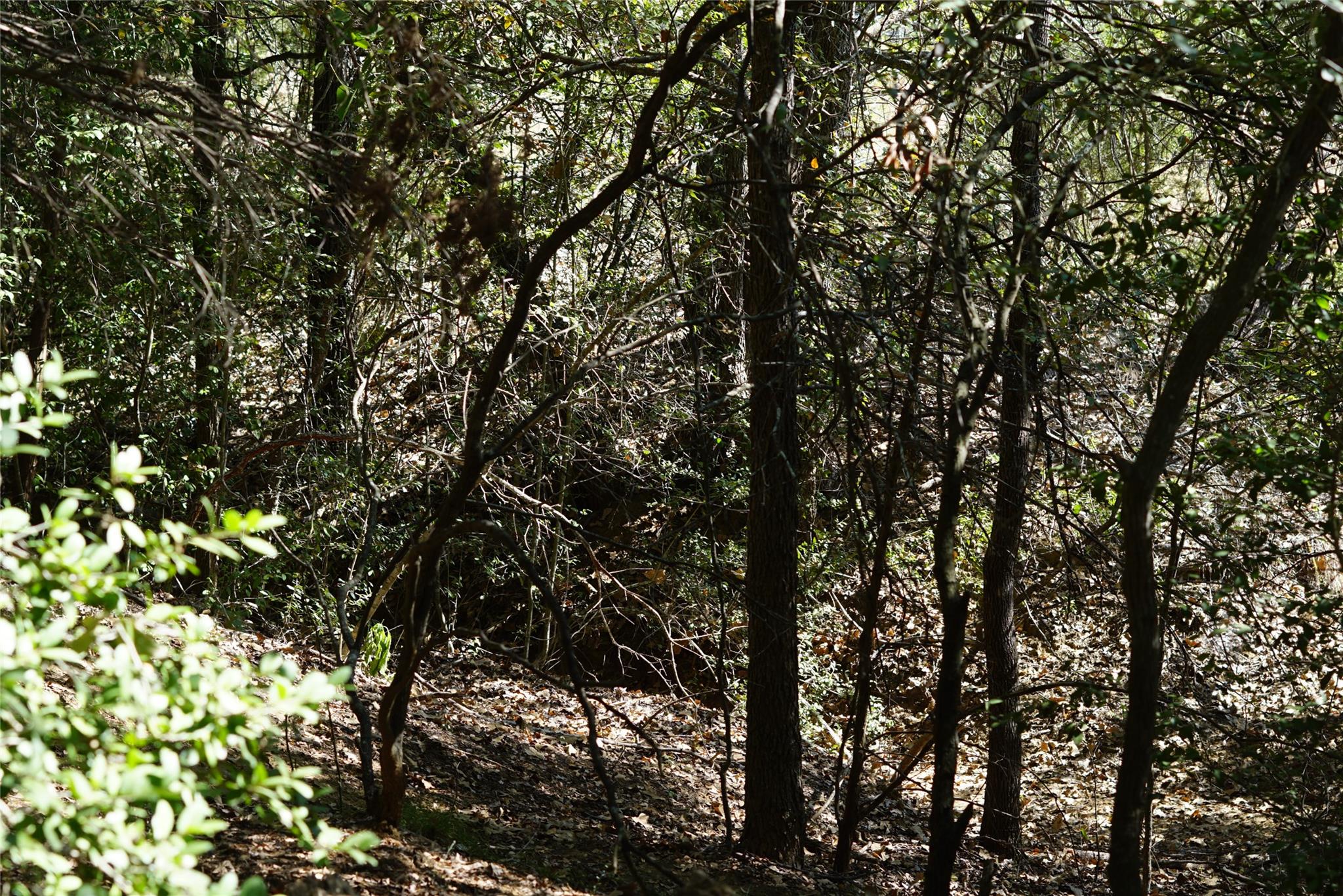 1135 Private Road 7039, Lexington, TX 78947